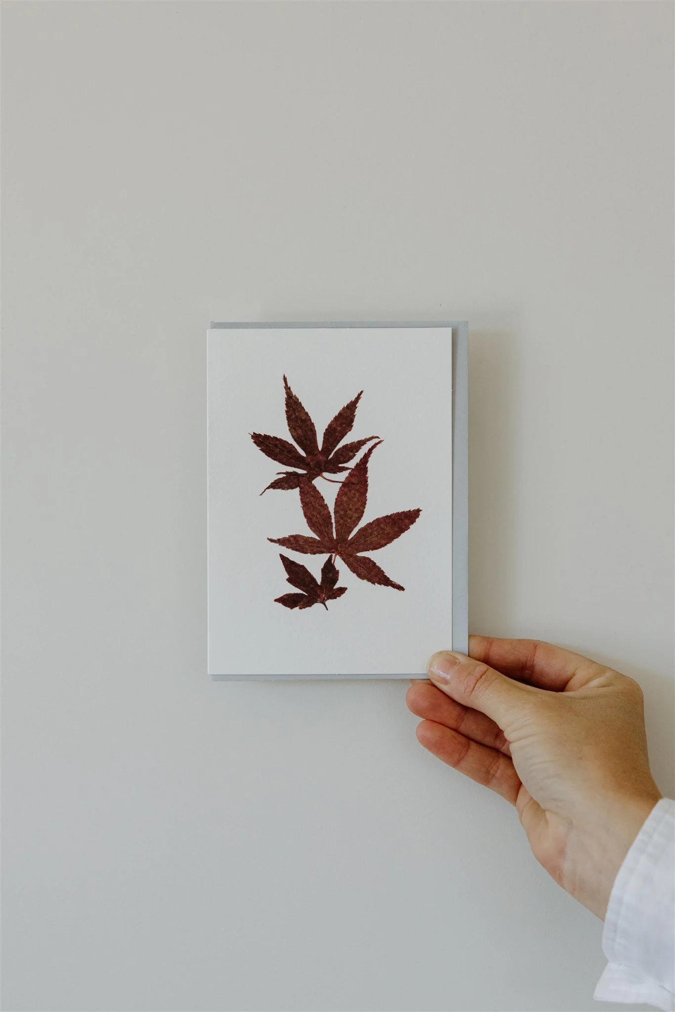 Maple — A6 Card