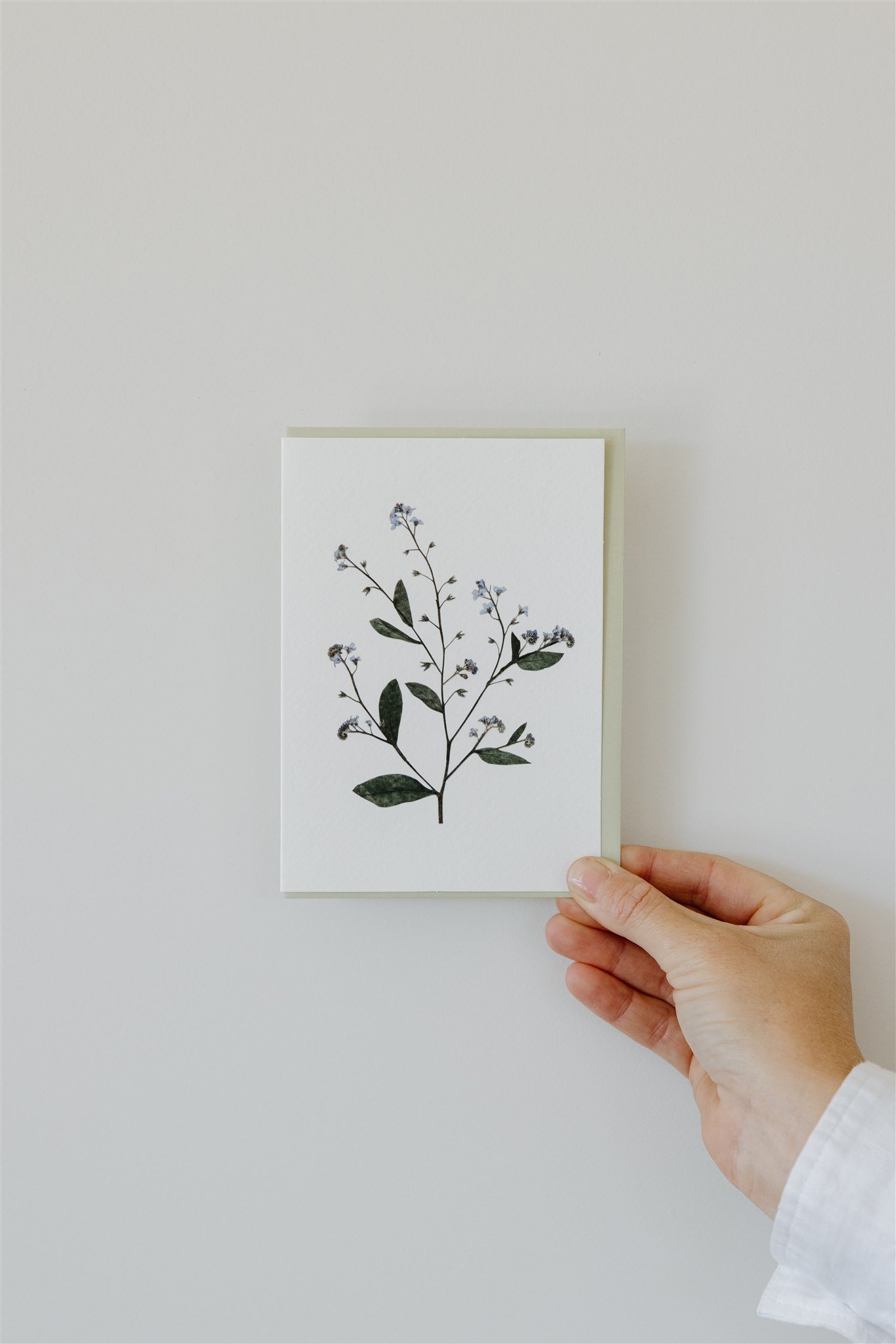 Forget Me Not — A6 Card