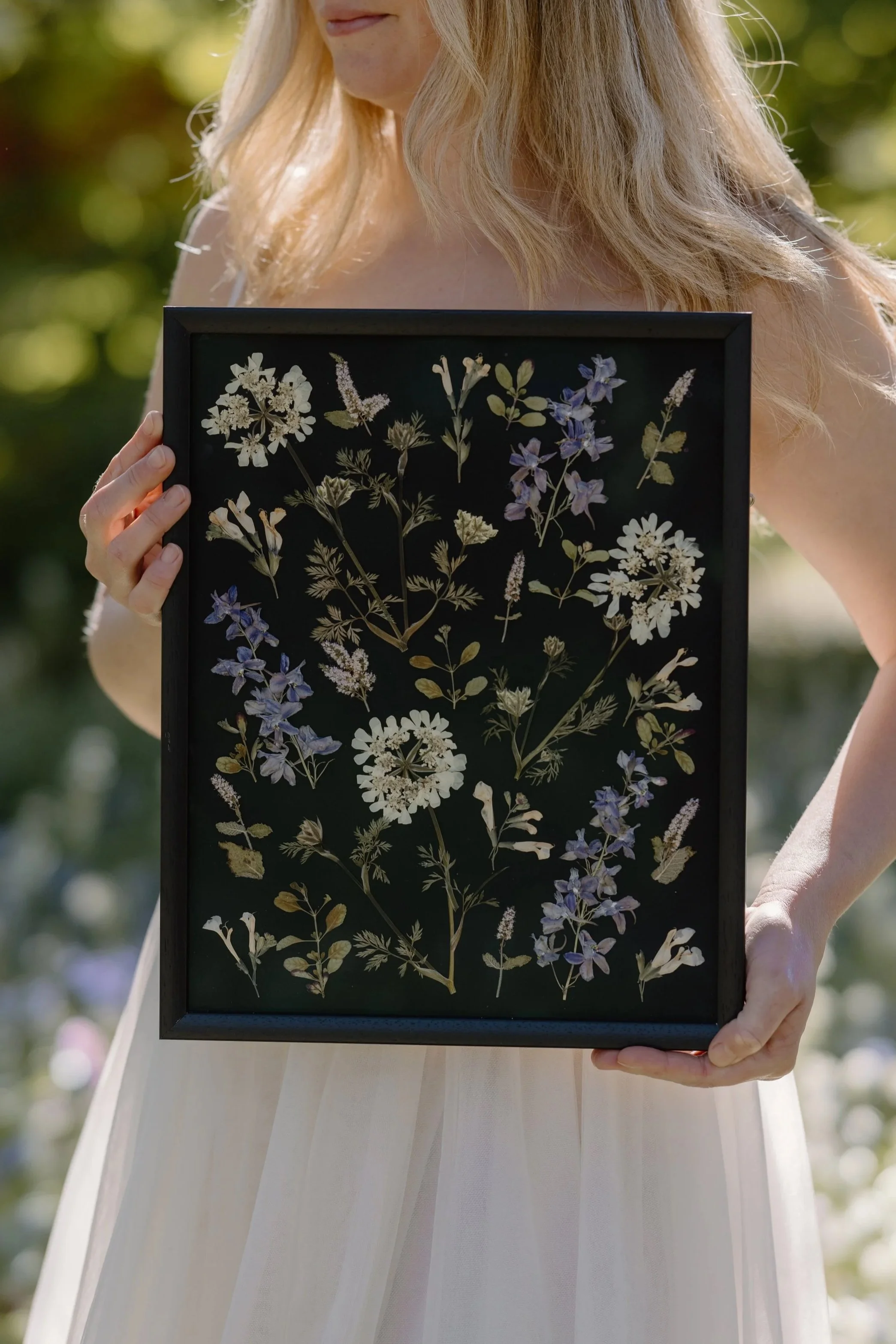 Framed pressed flower and plant botanical display with various dried flowers and leaves arranged on a white background.