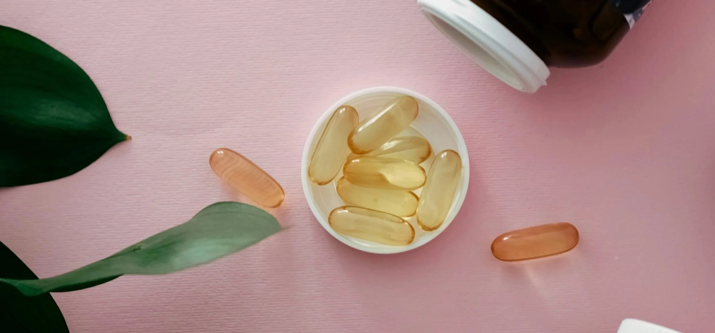 Omega-3: eno najbolj podcenjenih orodij za zdravje (Copy)