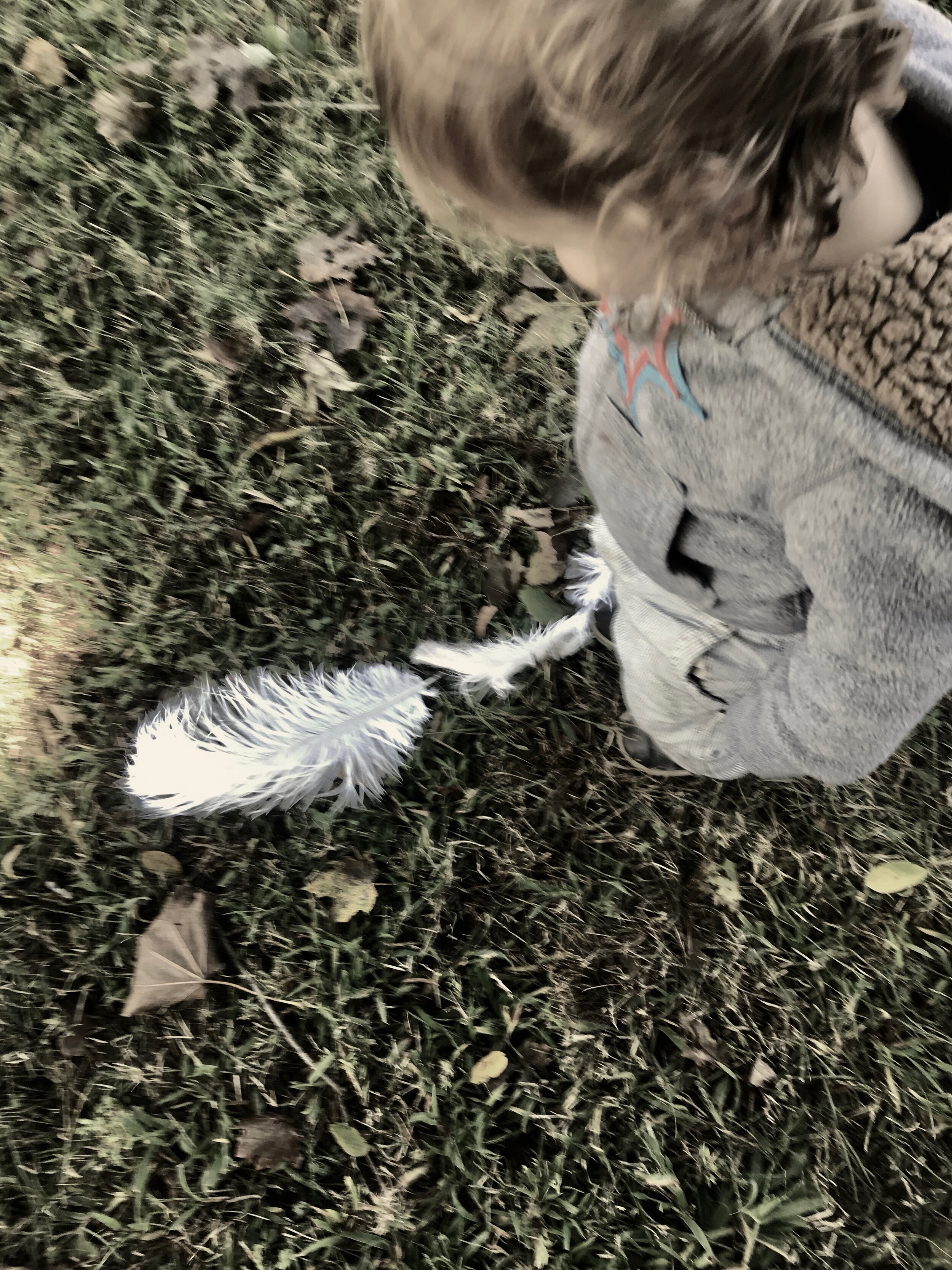 IMG_5902.jpeg