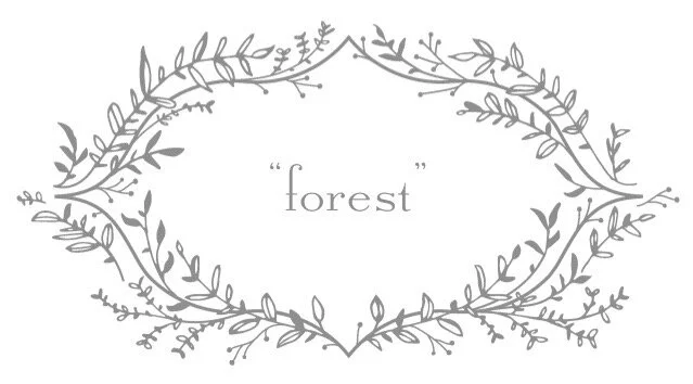 19799107_1_1_proofer copy 2.jpeg