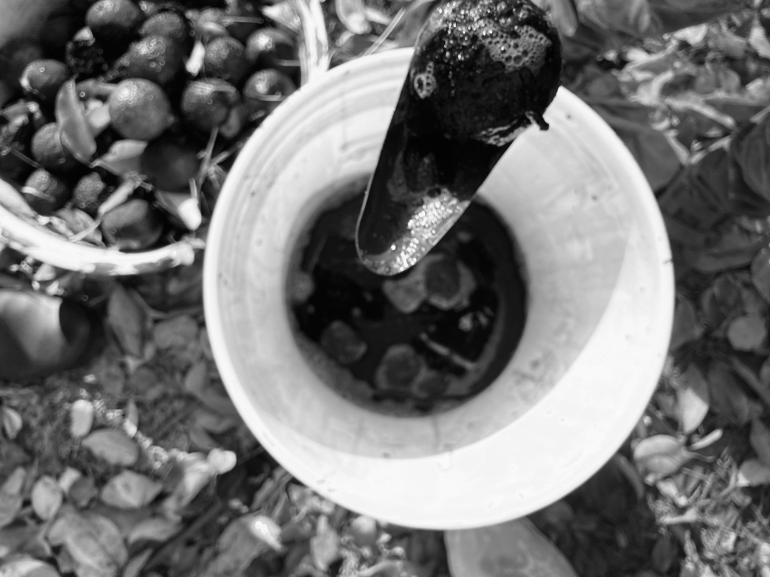 IMG_0223.jpeg