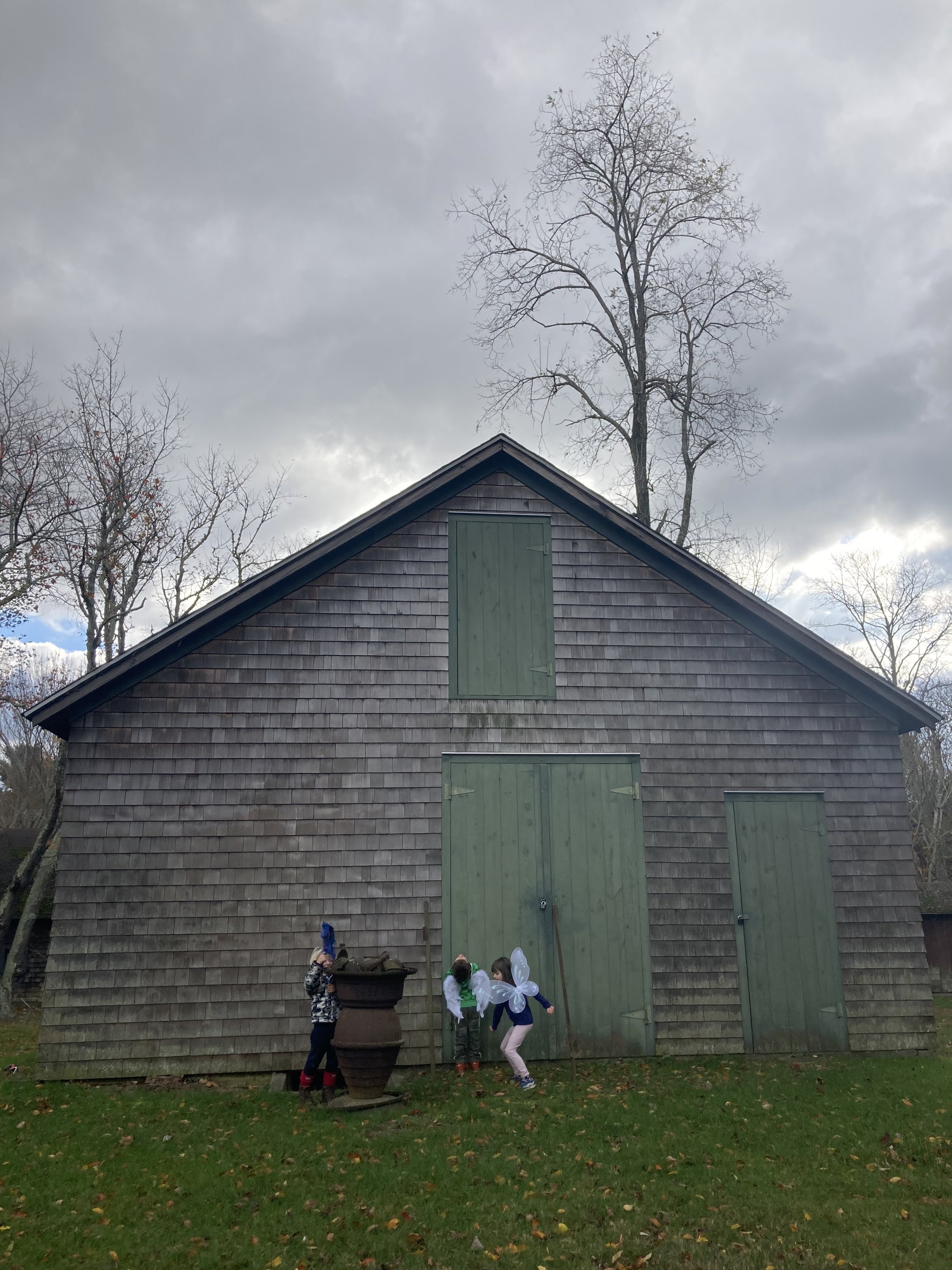 IMG_0596.jpeg