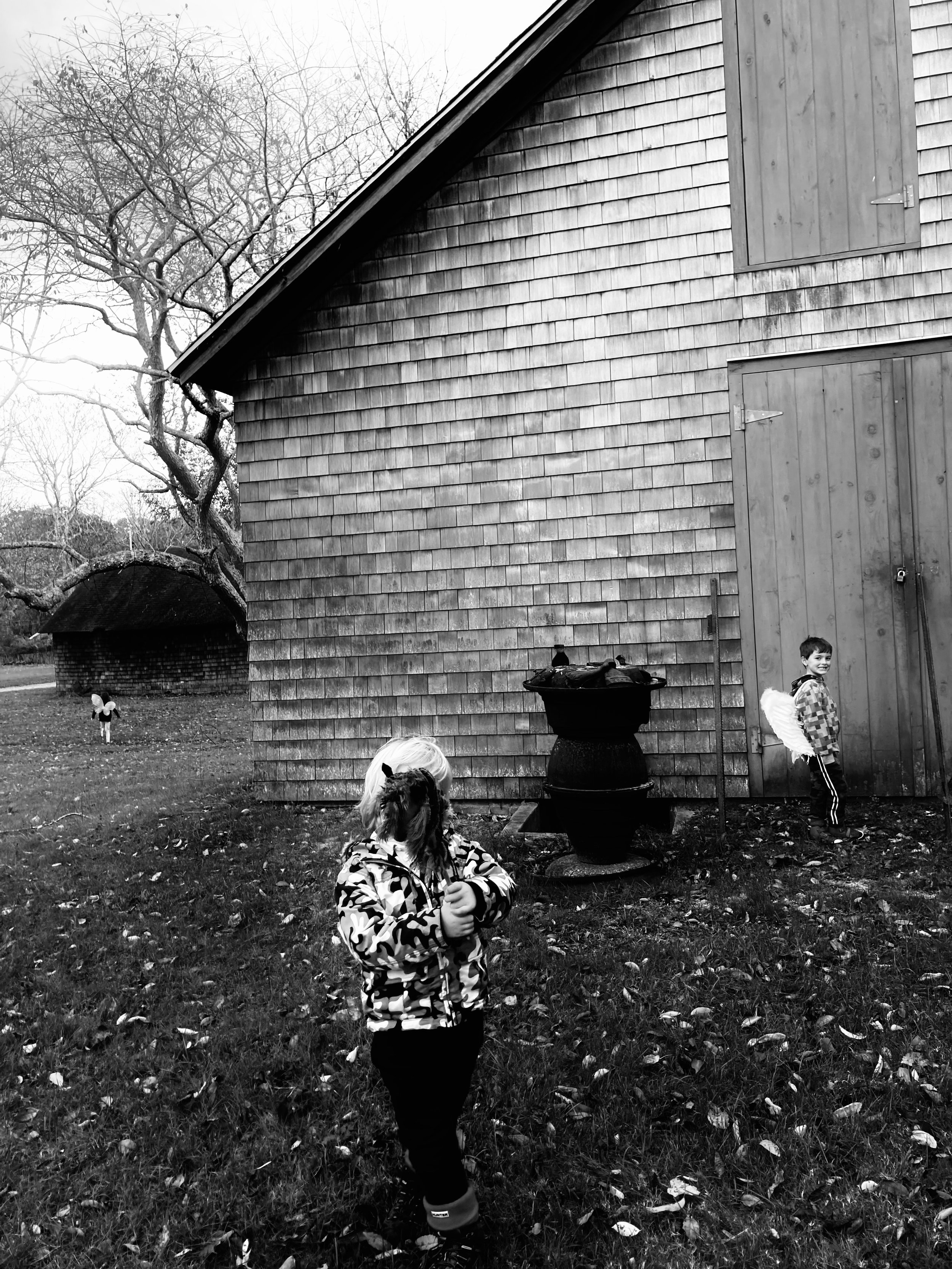 IMG_0603.jpeg