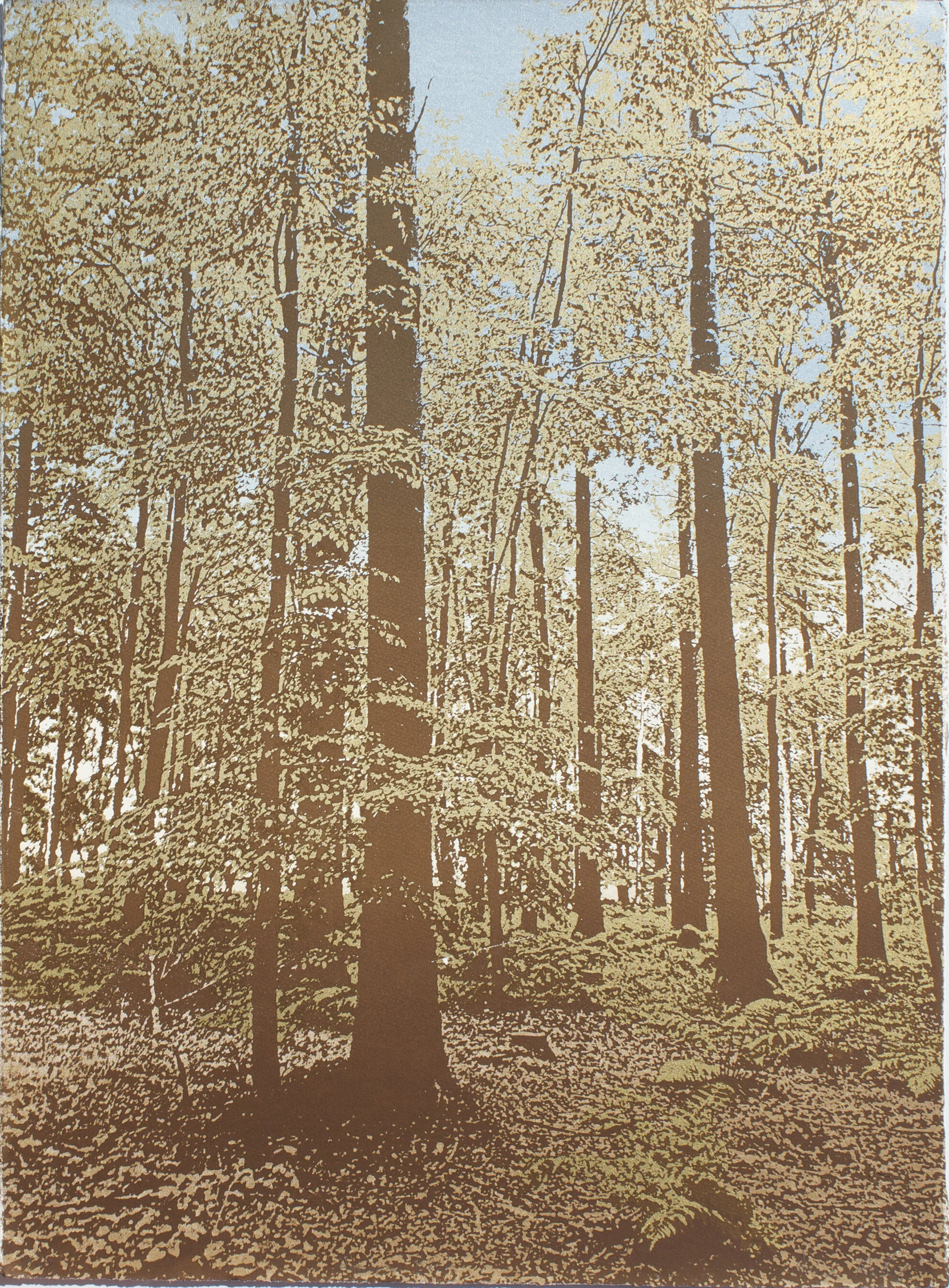 Autumn Beech Wood 56x76cm £400.jpg