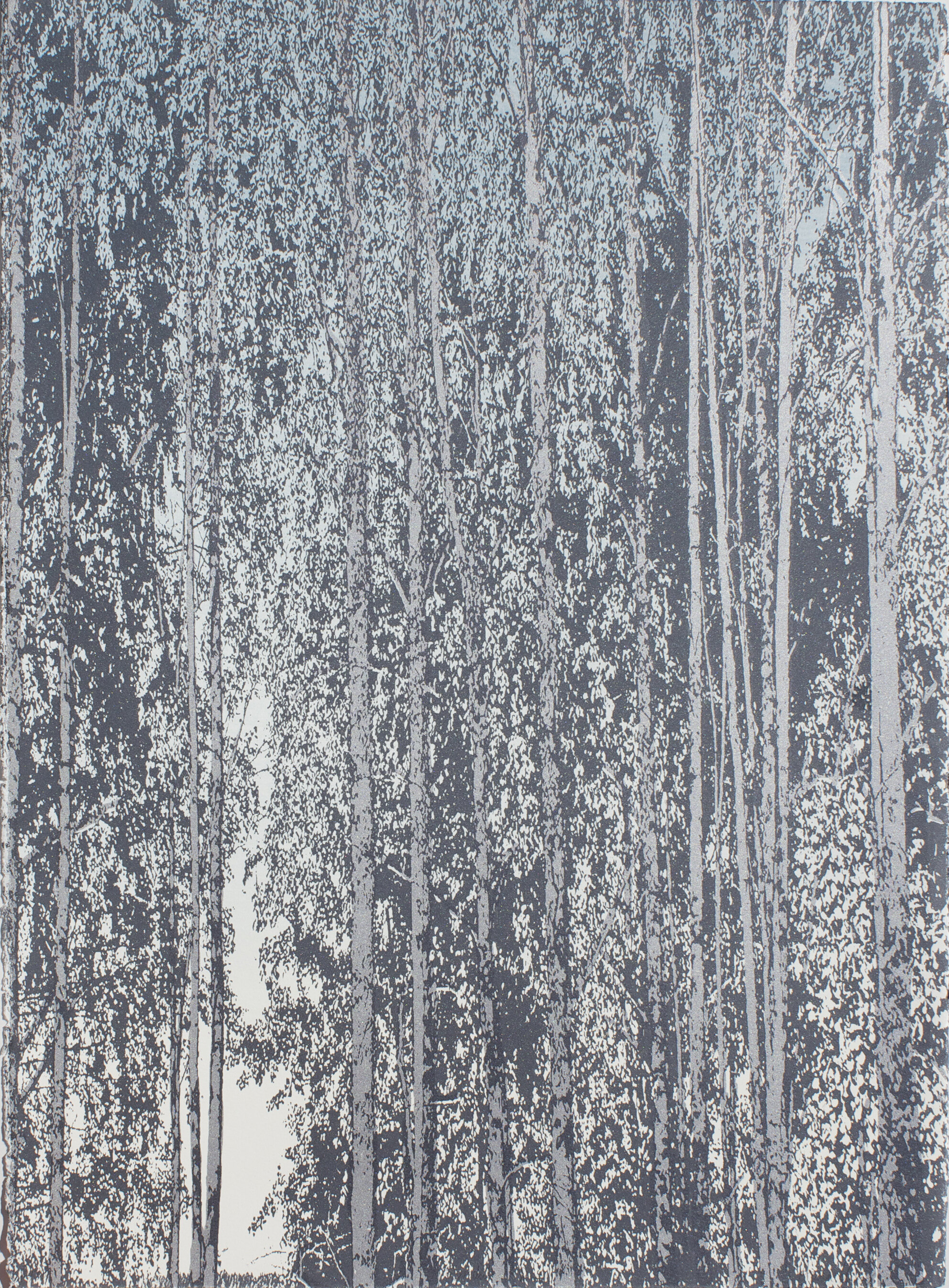 Swedish Silver Birch