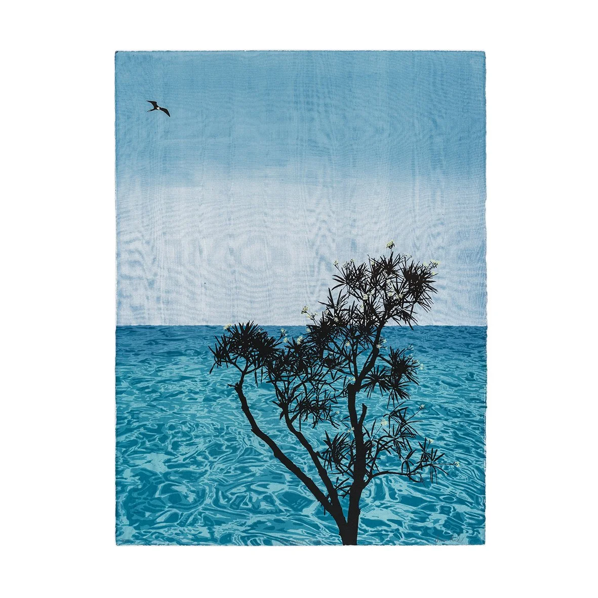 Website On White Anna Harley Franginpani Tree Jo Hounsome Photography.jpg