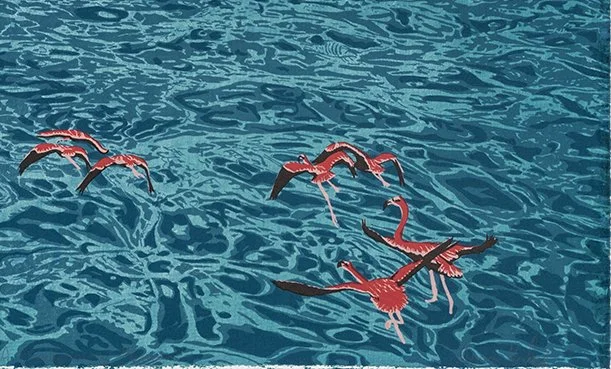 Website Flamboyance of flamingos detail 2 Jo Hounsome Photography.jpg
