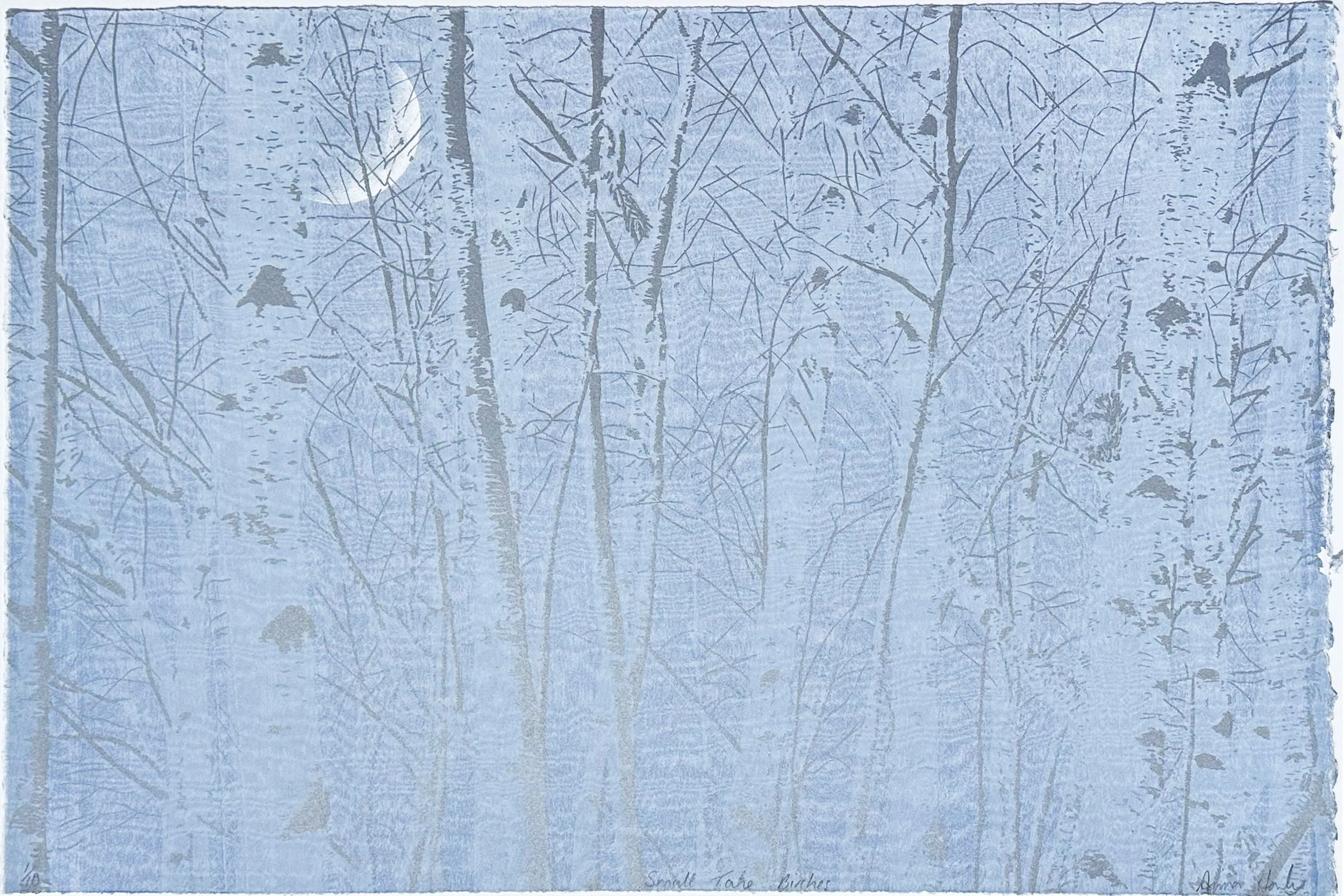 Tate-Birches.jpg