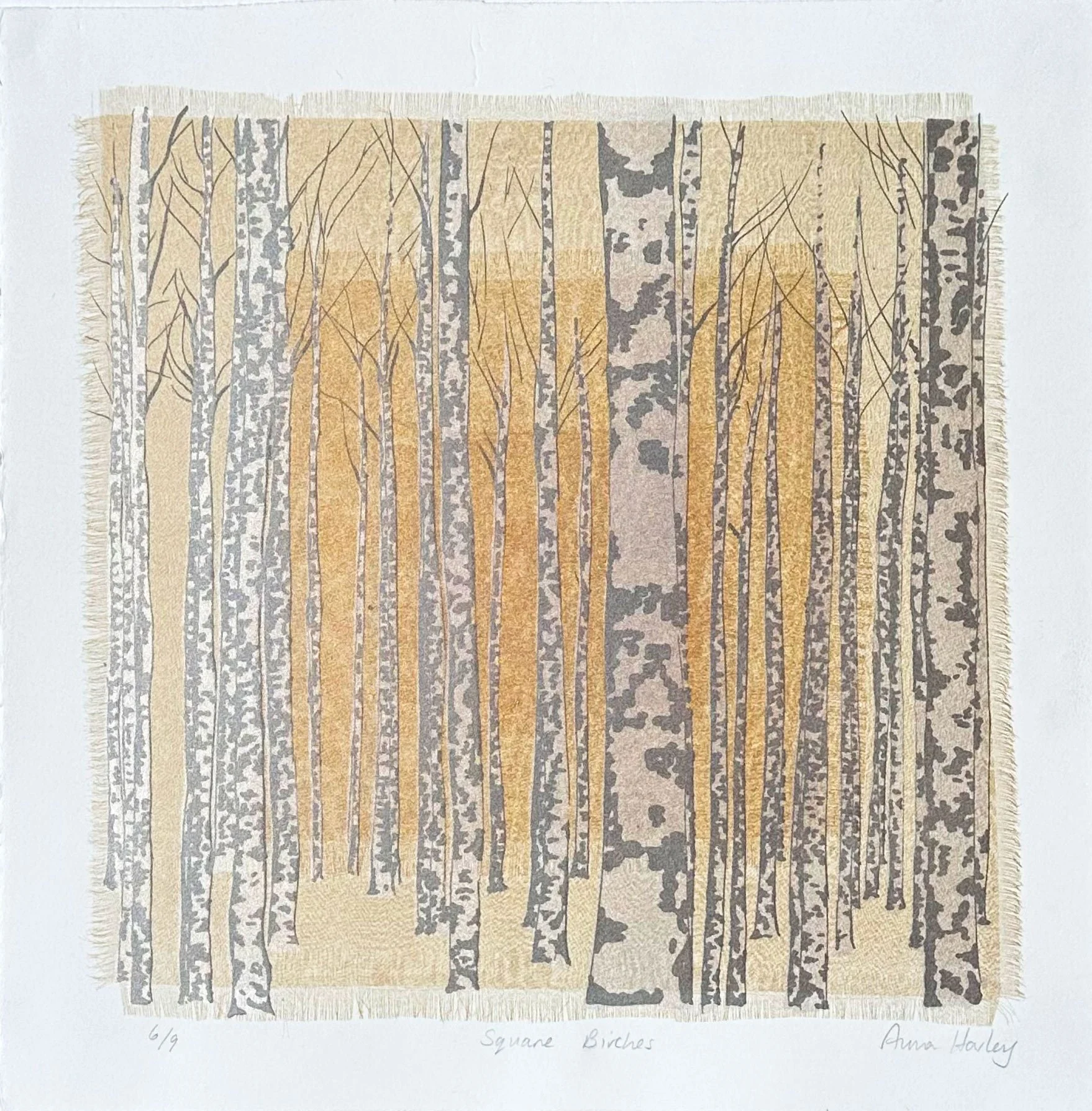 Square-Birches.jpg