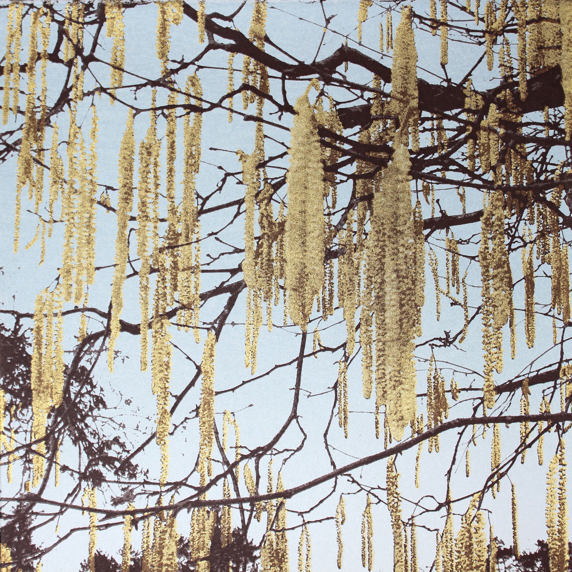 Catkins I