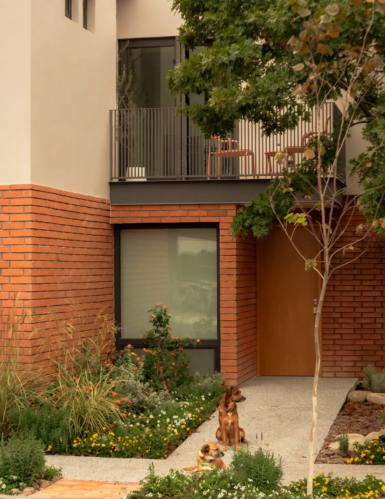 Casa Caura: un inmueble abandonado se transforma en hogar