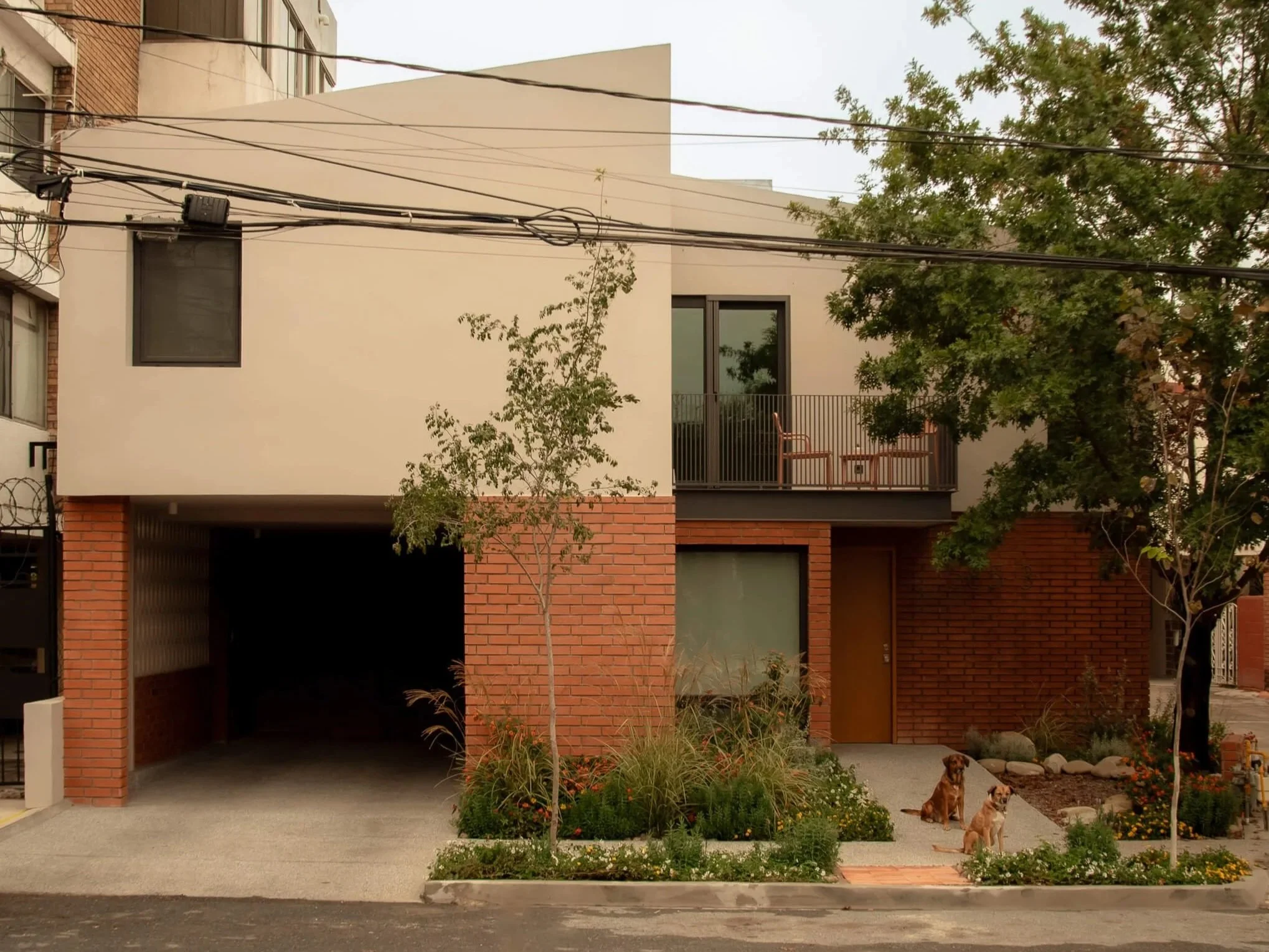 Vista frontal de Casa Caura con plantas y dos perros