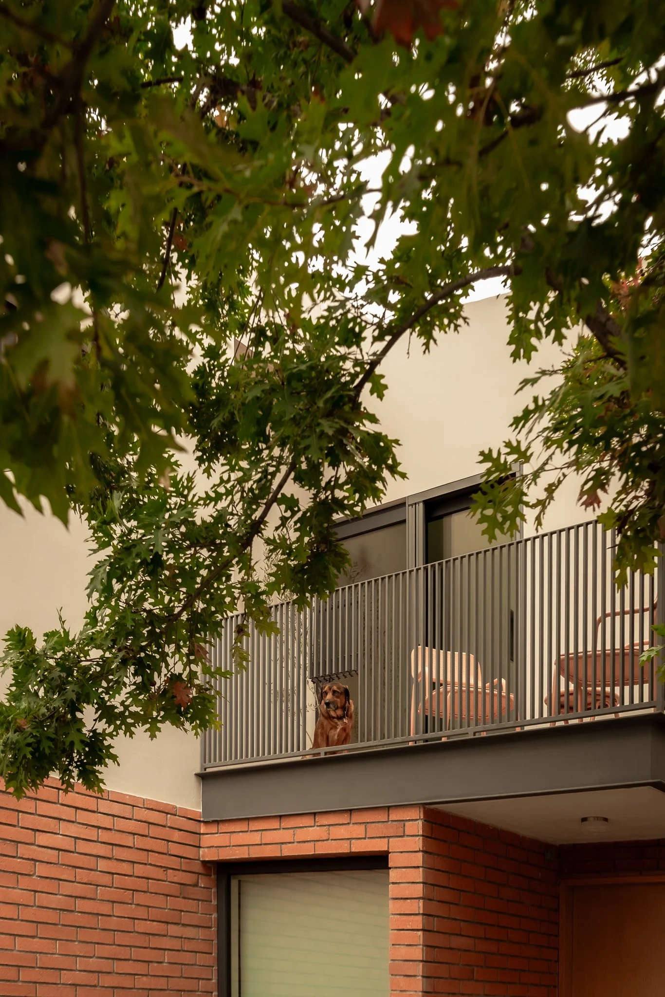 Exterior de Casa Caura, diseñada por M-G Estudio