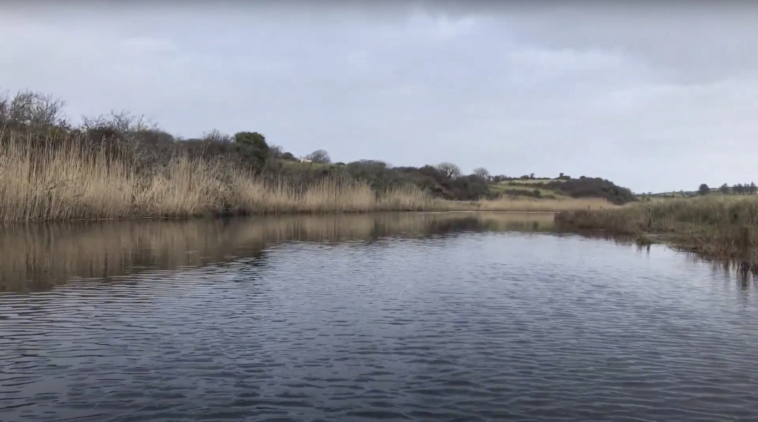 Screenshot 2021-01-18 at 13.18.jpeg