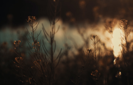 Making Sense of the World: BBC Radio 4