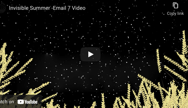 Invisible Summer: Keep Well, Stay Safe