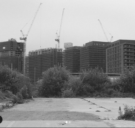 This is a FOREST - Exhibition, Leeds