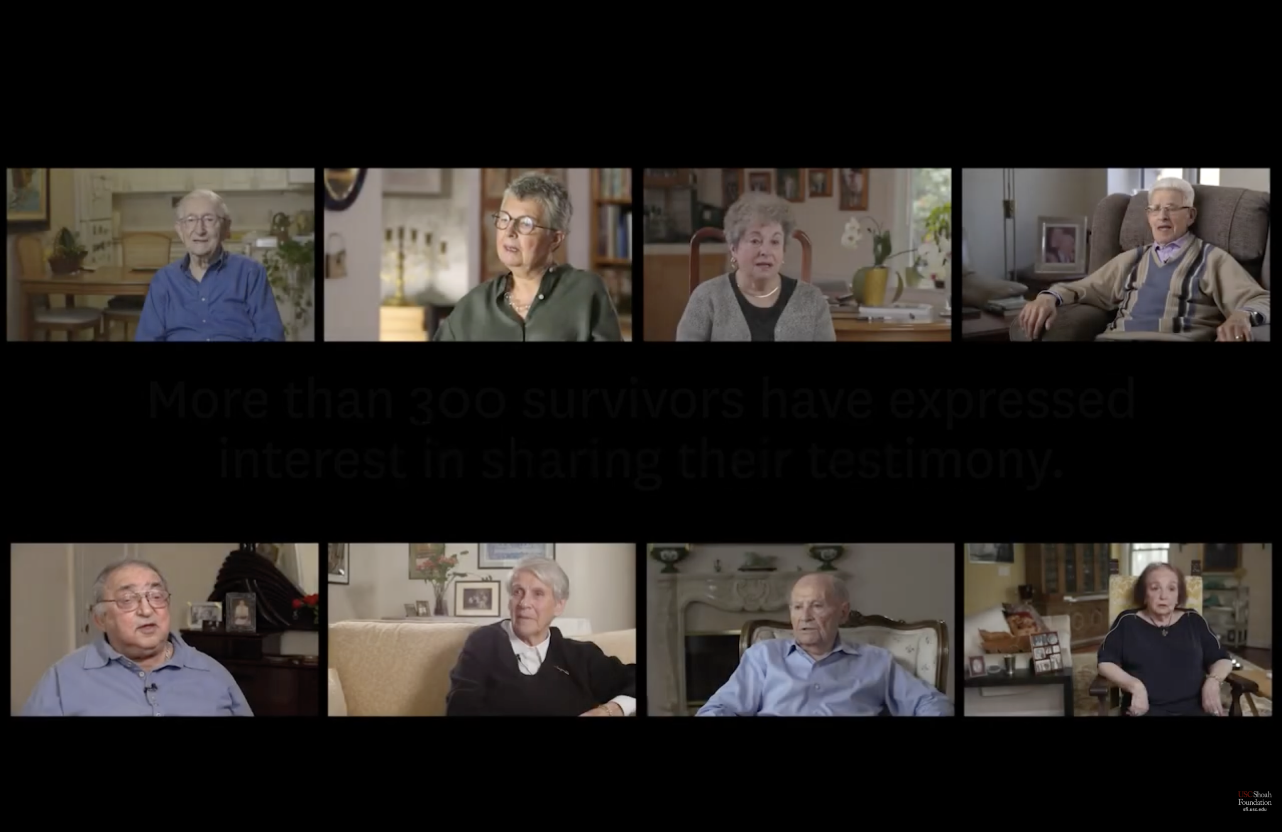 The Last Chance Collection