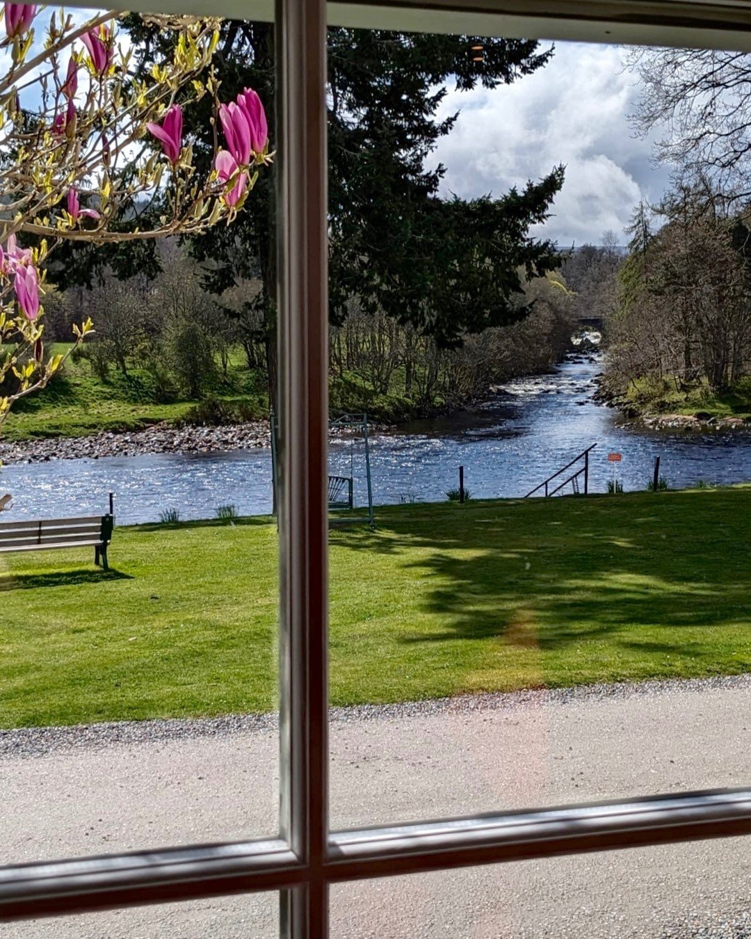 Spring has officially arrived at The Lodge 🌸

Quick! Only 8 days left to snag an our discounted rate, subject to availability. We're rolling out the red carpet with a cheeky discount on your stay for the rest of April.

But hey, don't dilly-dally &n