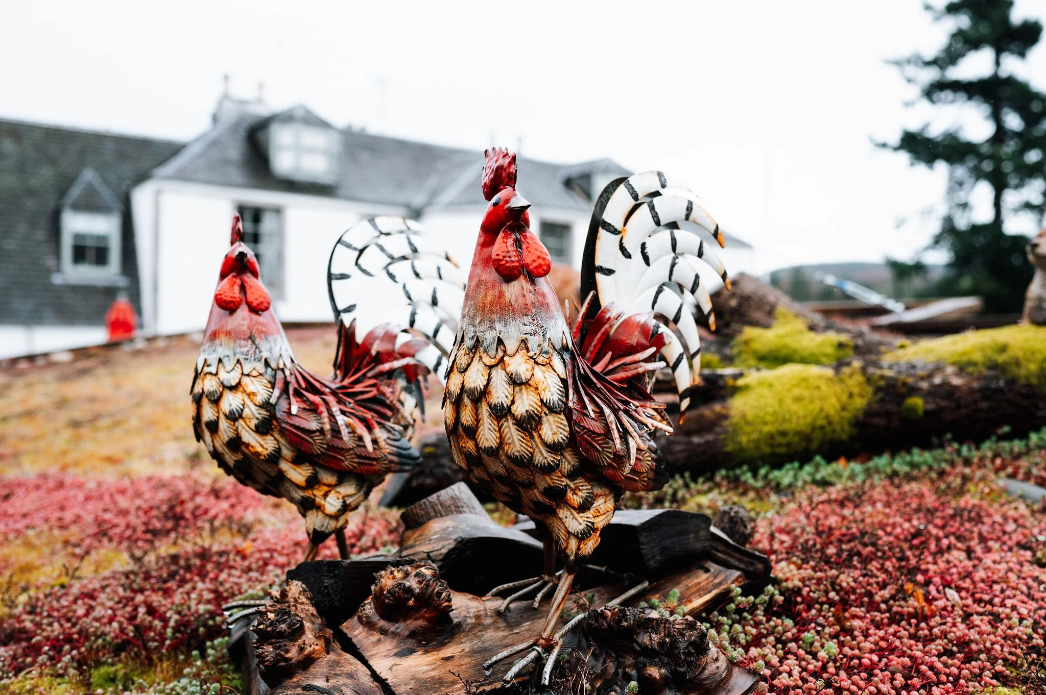 0156-Banchory-Lodge-2024.jpg