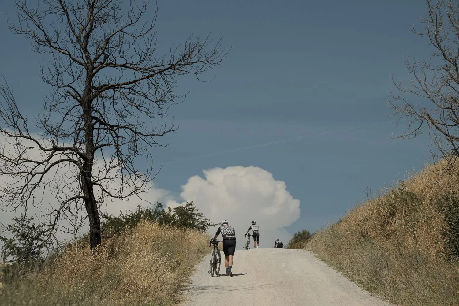 Two riders walking their bikes up a dry hill track beneath a bare tree and a building cloud