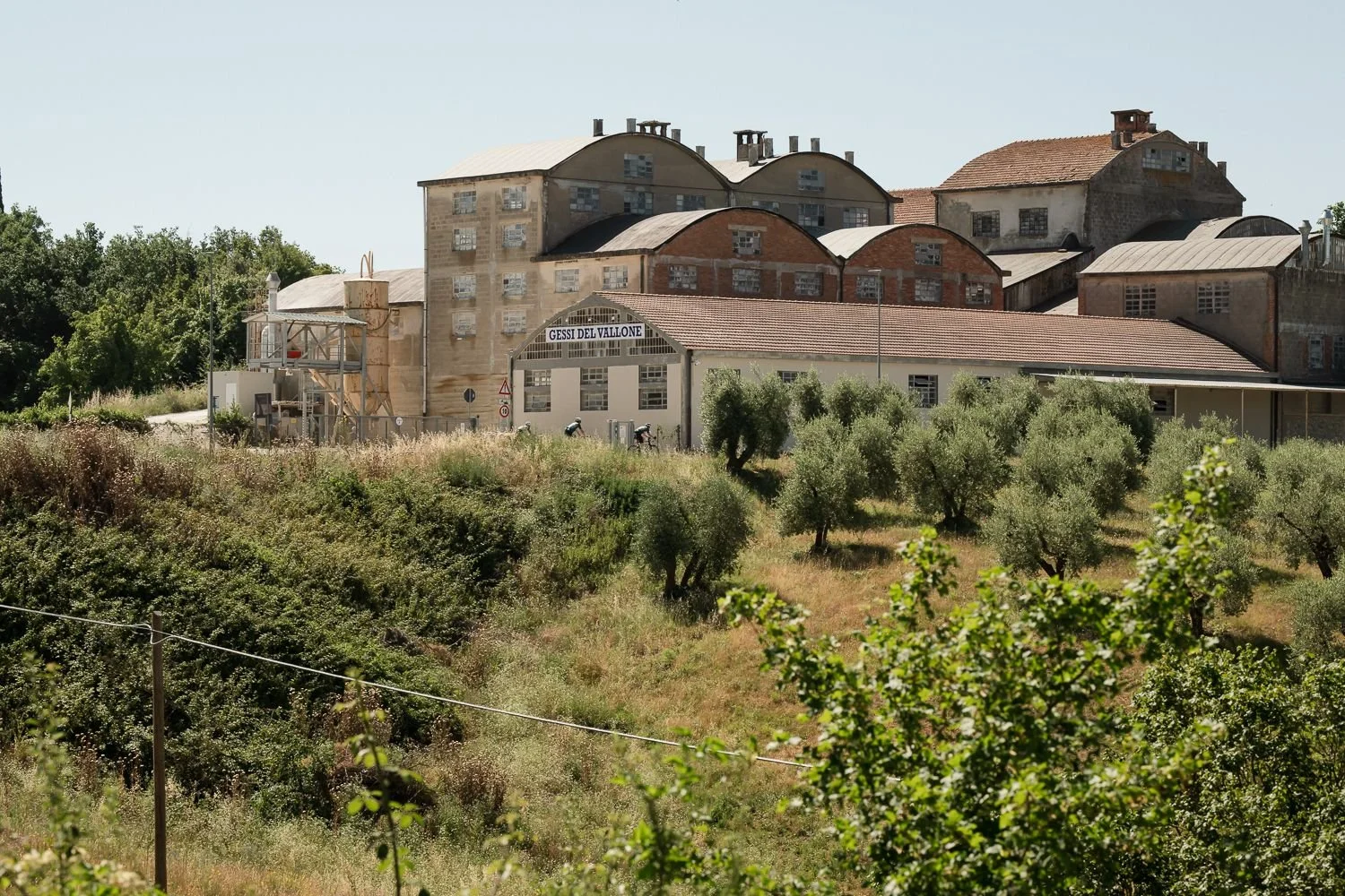Large stone farm buildings above olive trees on a Tuscan hillside