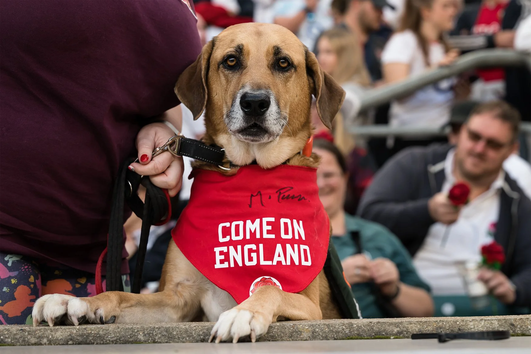 27.09.25_RWC Final_ENGvCAN