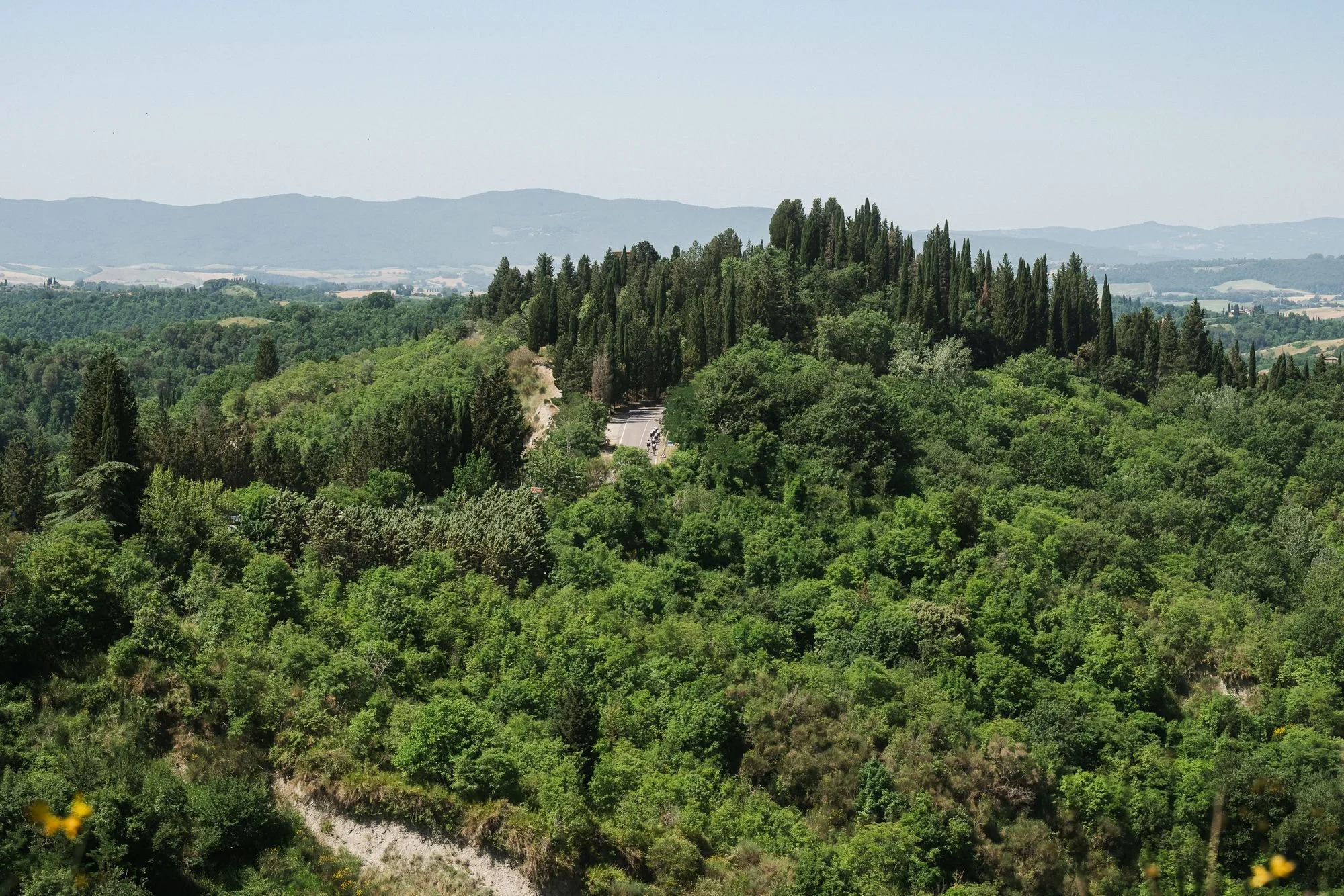 Wooded Tuscan ridge with cypress trees and a track winding through the hillside
