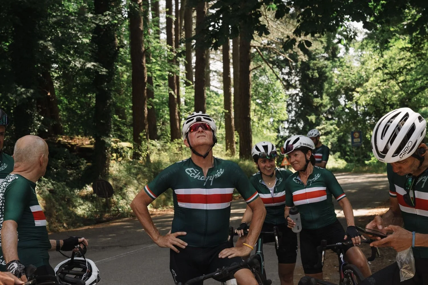Cyclists in green striped jerseys regrouping in the shade of tall trees