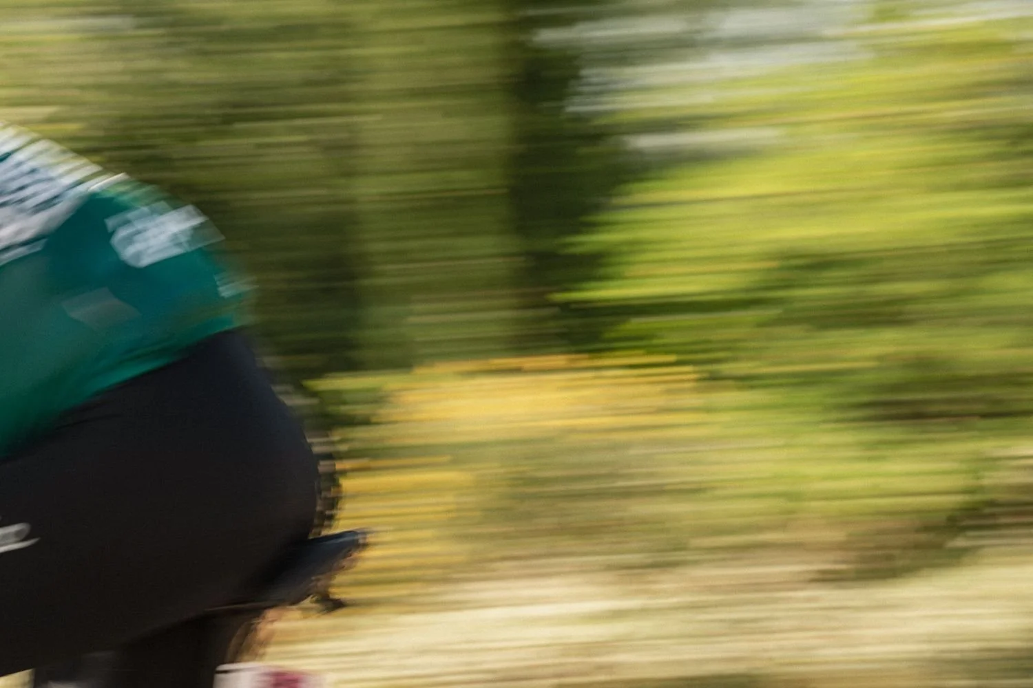 Abstract motion blur of a rider in a green jersey against green foliage