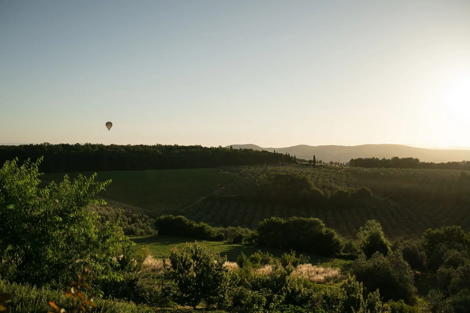 Hot air balloon above a wooded Tuscan valley in low warm light
