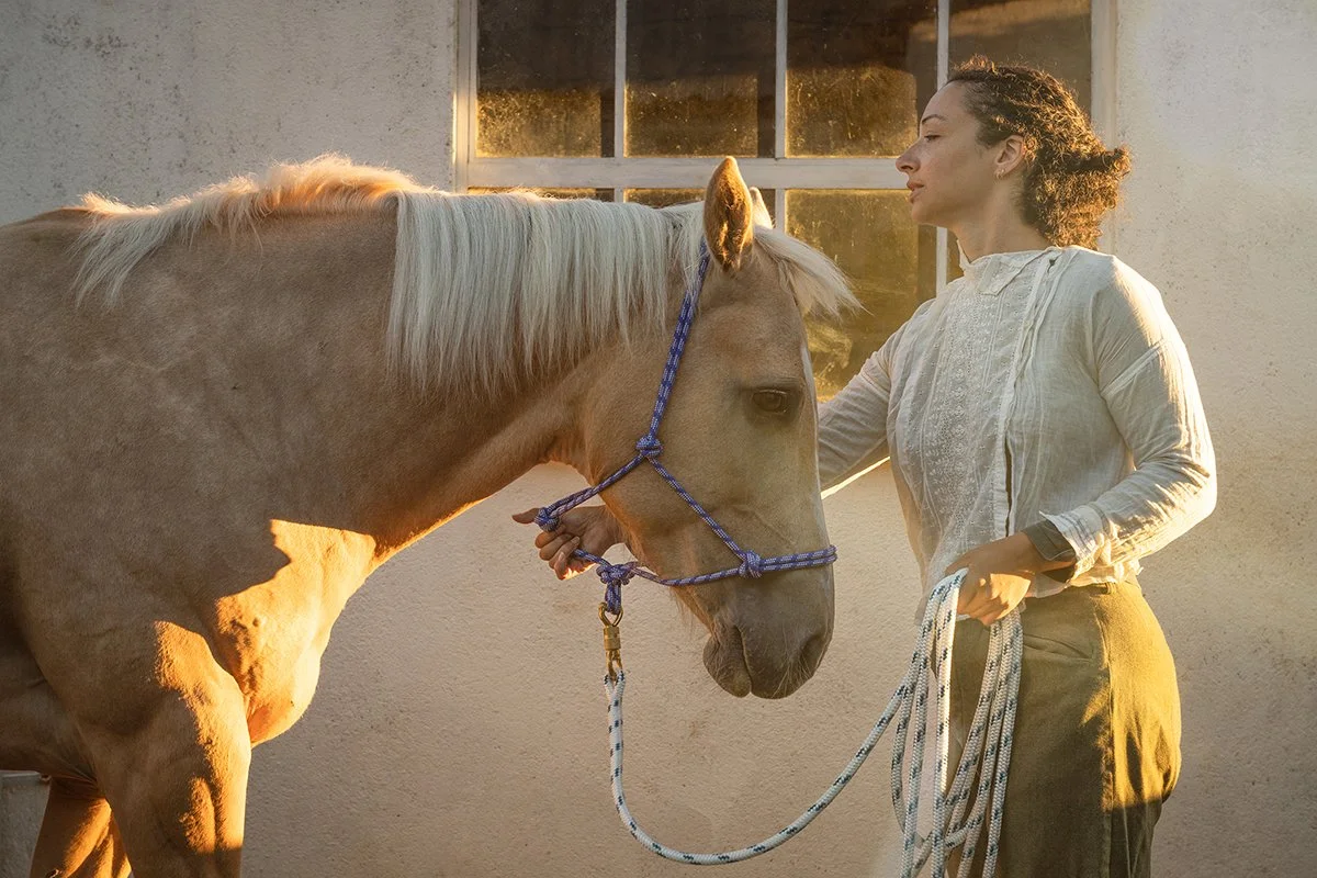 horse husbandry woman and horse 