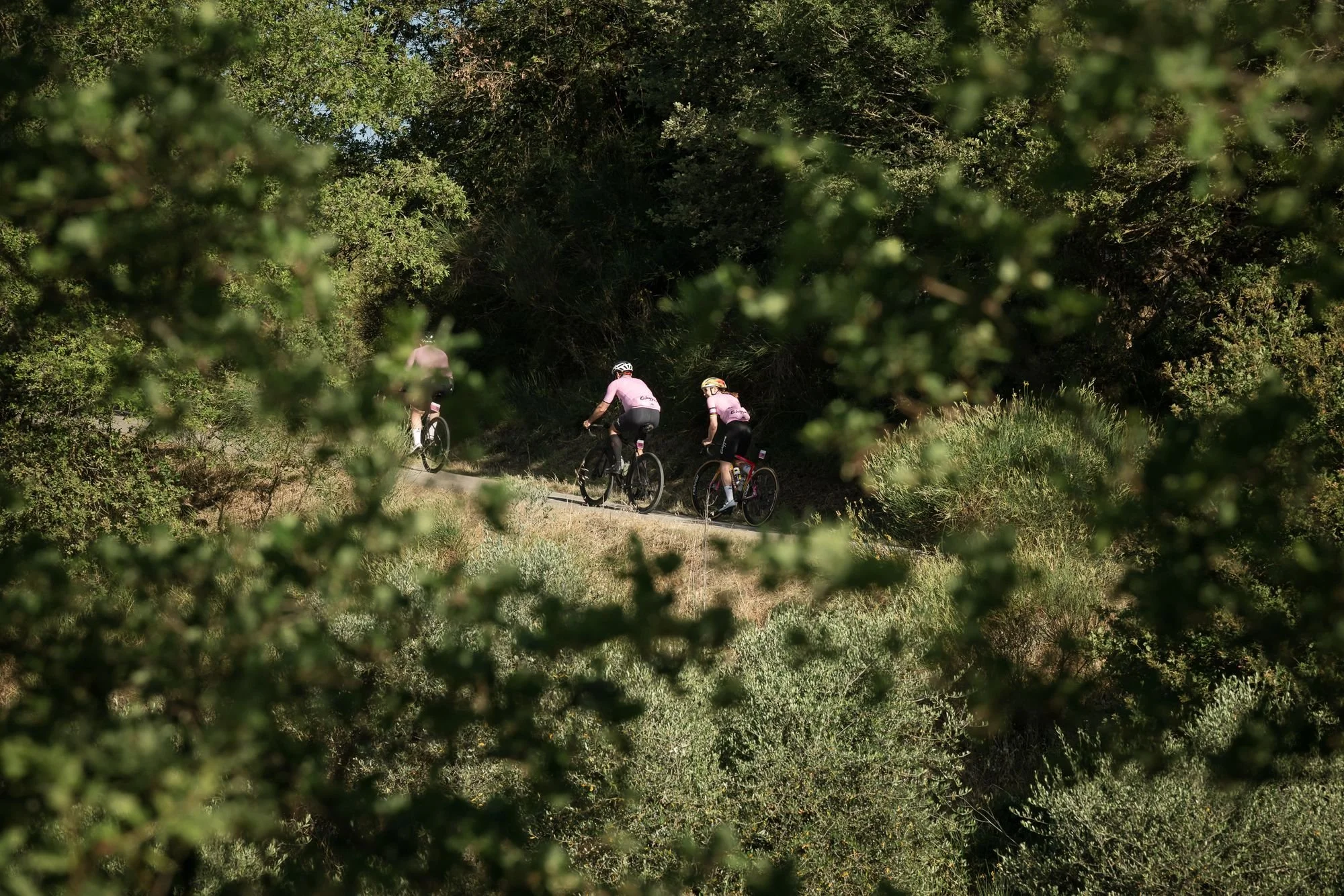Two cyclists in pink jerseys on a track seen through dark foliage