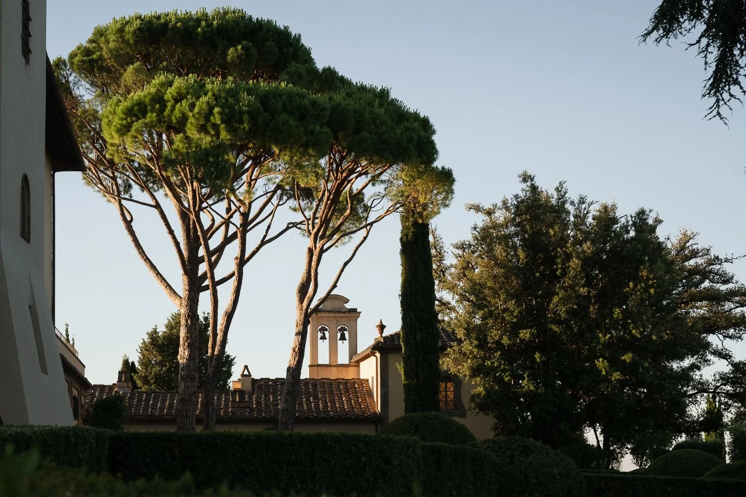 Stone pines and a Tuscan villa rooftop against a clear sky