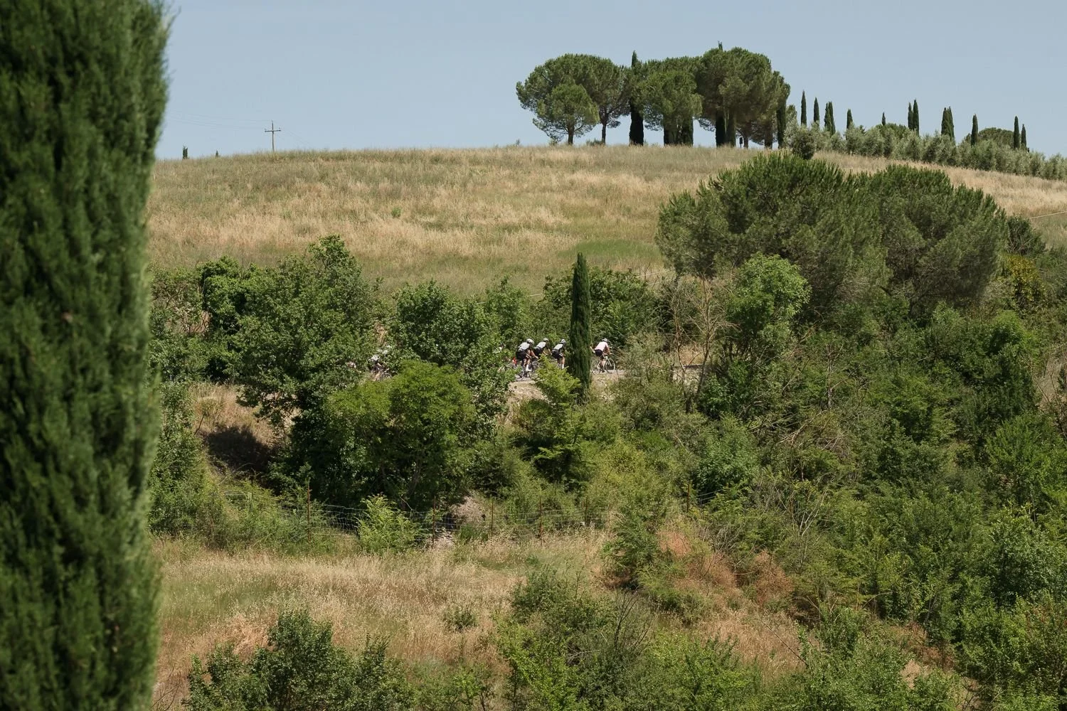 Small group of riders on a distant road below a hilltop of cypress and pine trees