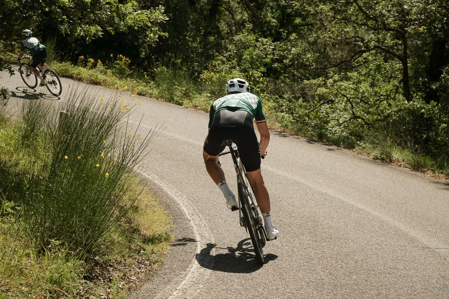 Rider leaning into a bend on a Tuscan road with grasses in the foreground