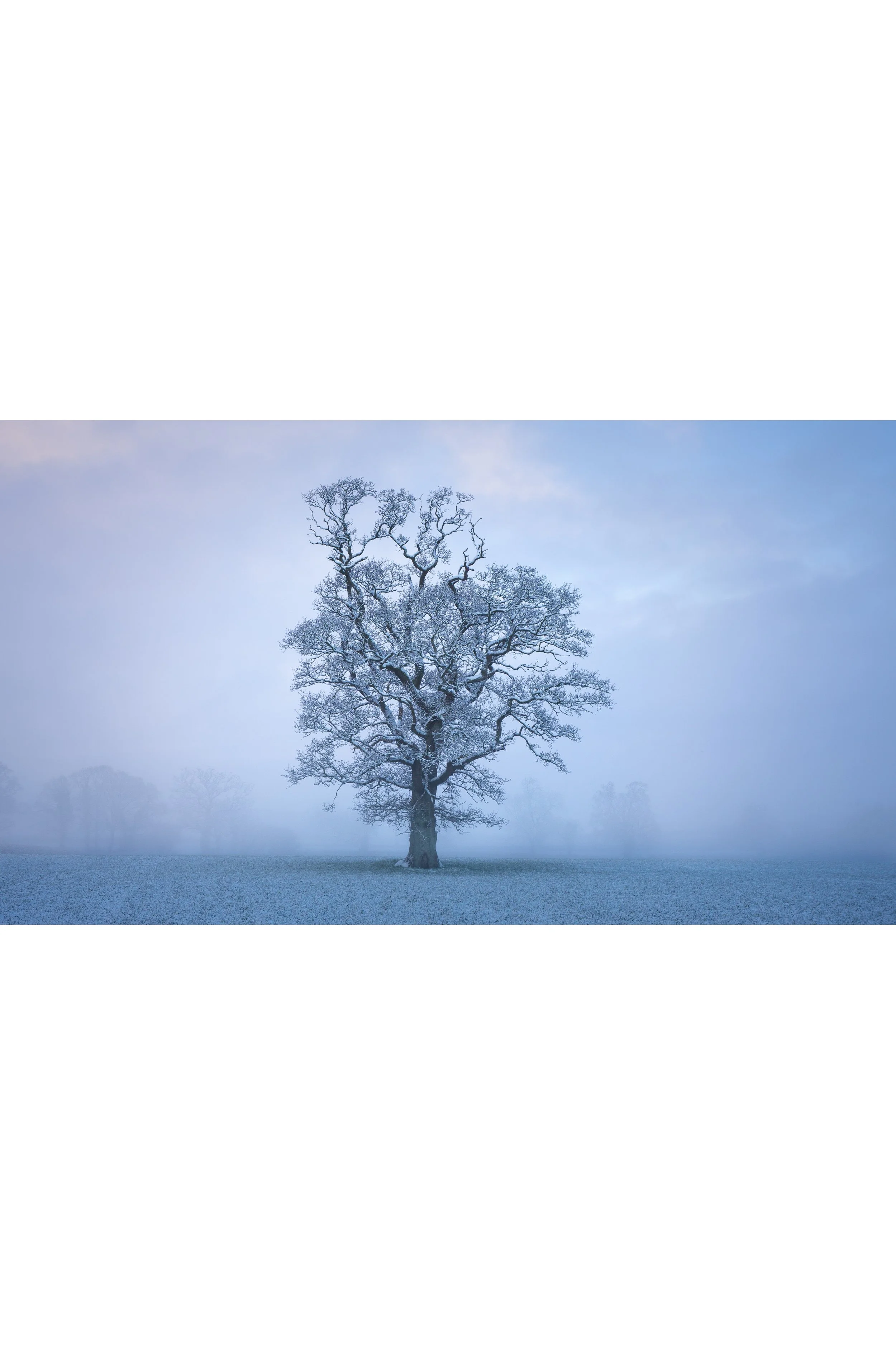 Winter Blues Vol. 1