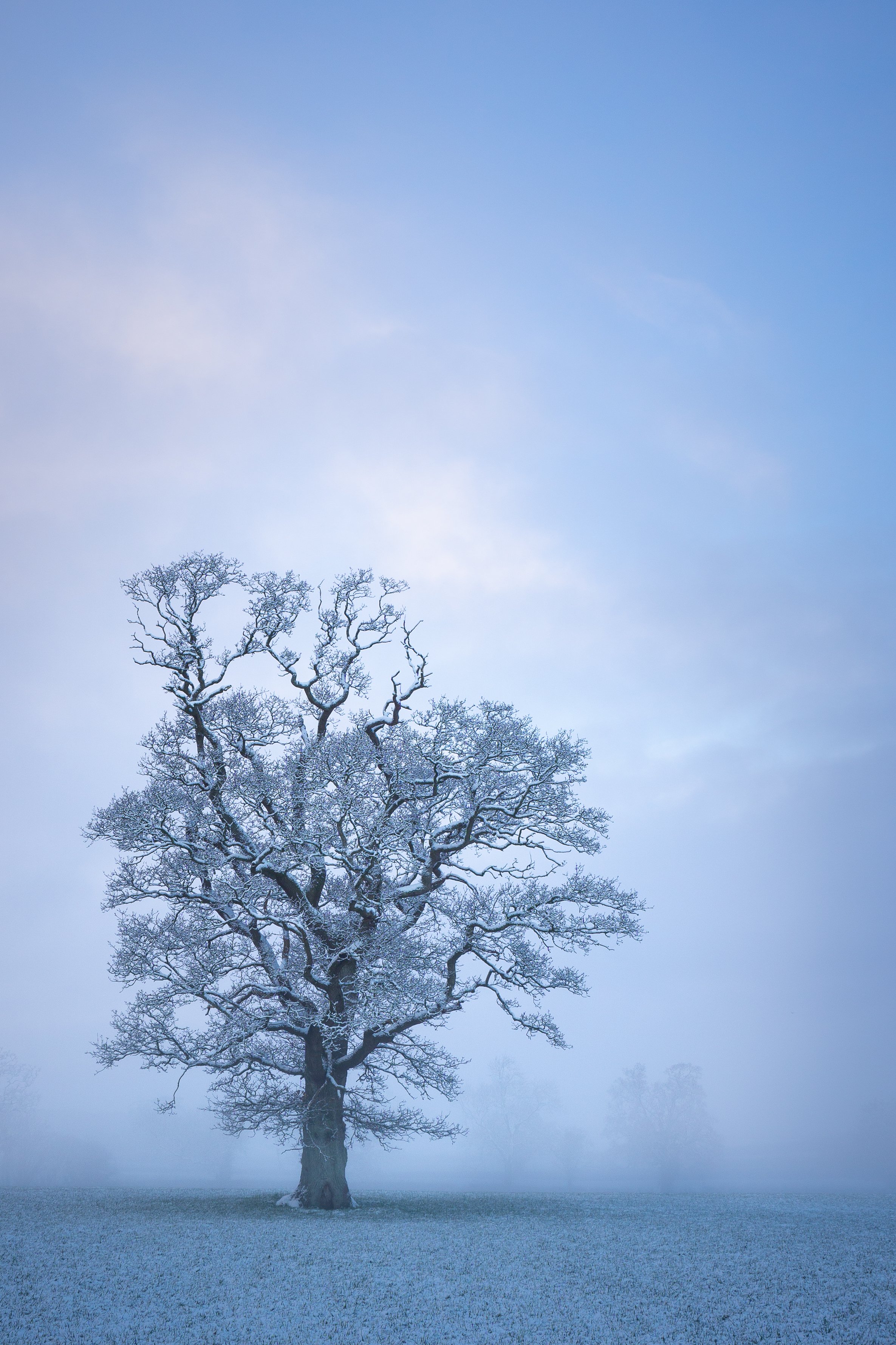 Winter Blues Vol. 2
