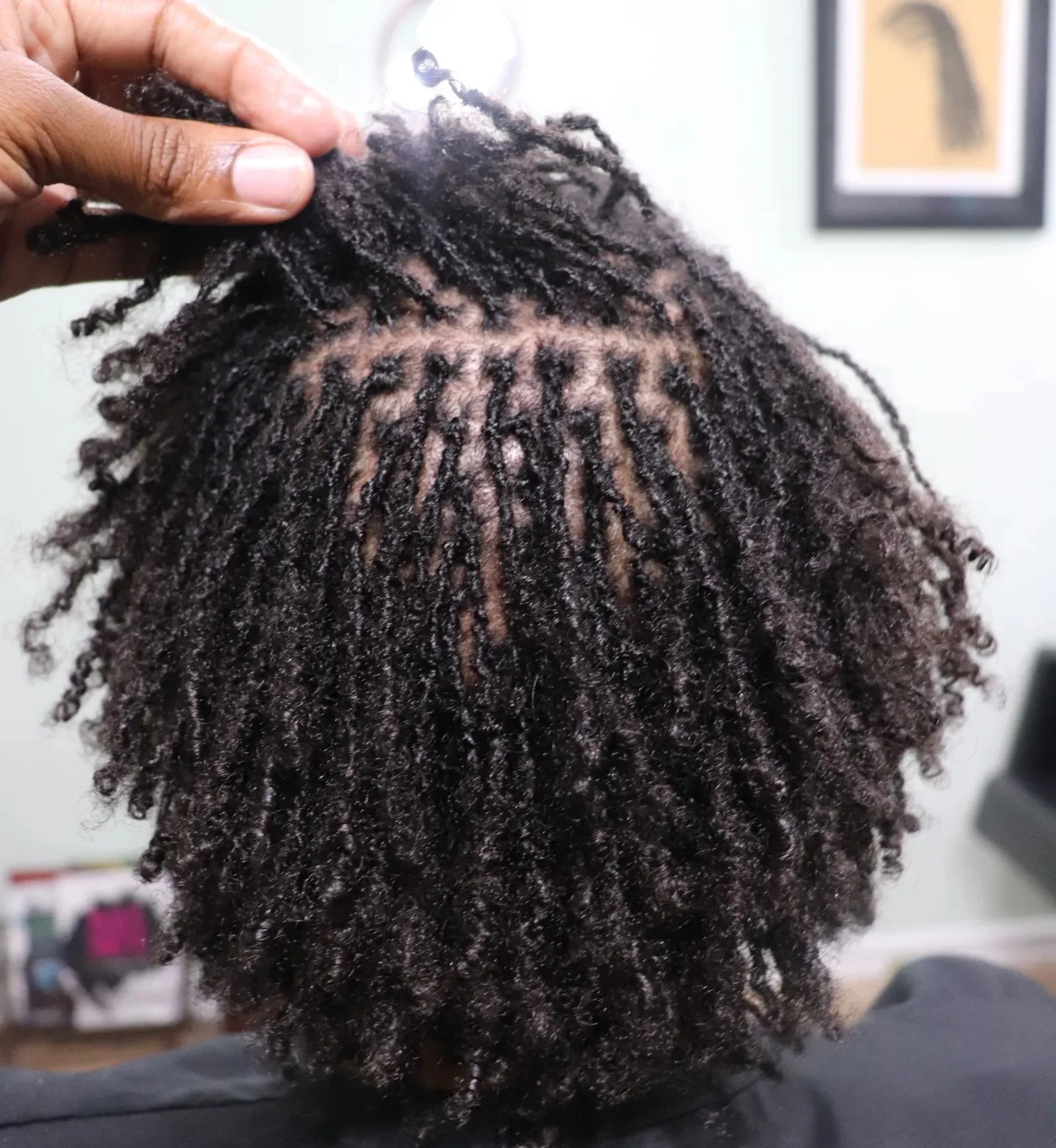 Sisterlocks Process Everything You Need to Know About Sisterlocks! – Ori Lifestyle