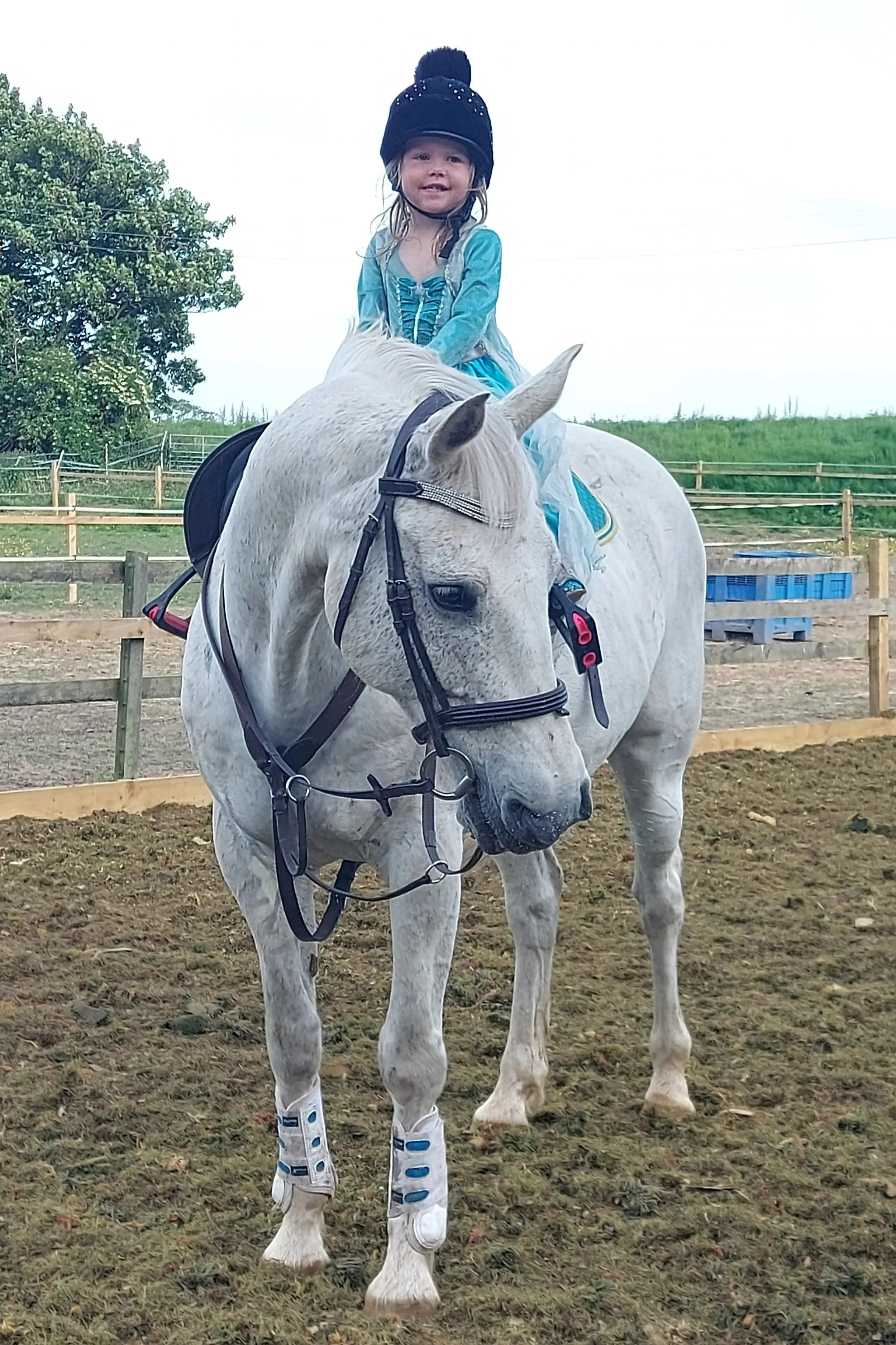 riding in an elsa dress