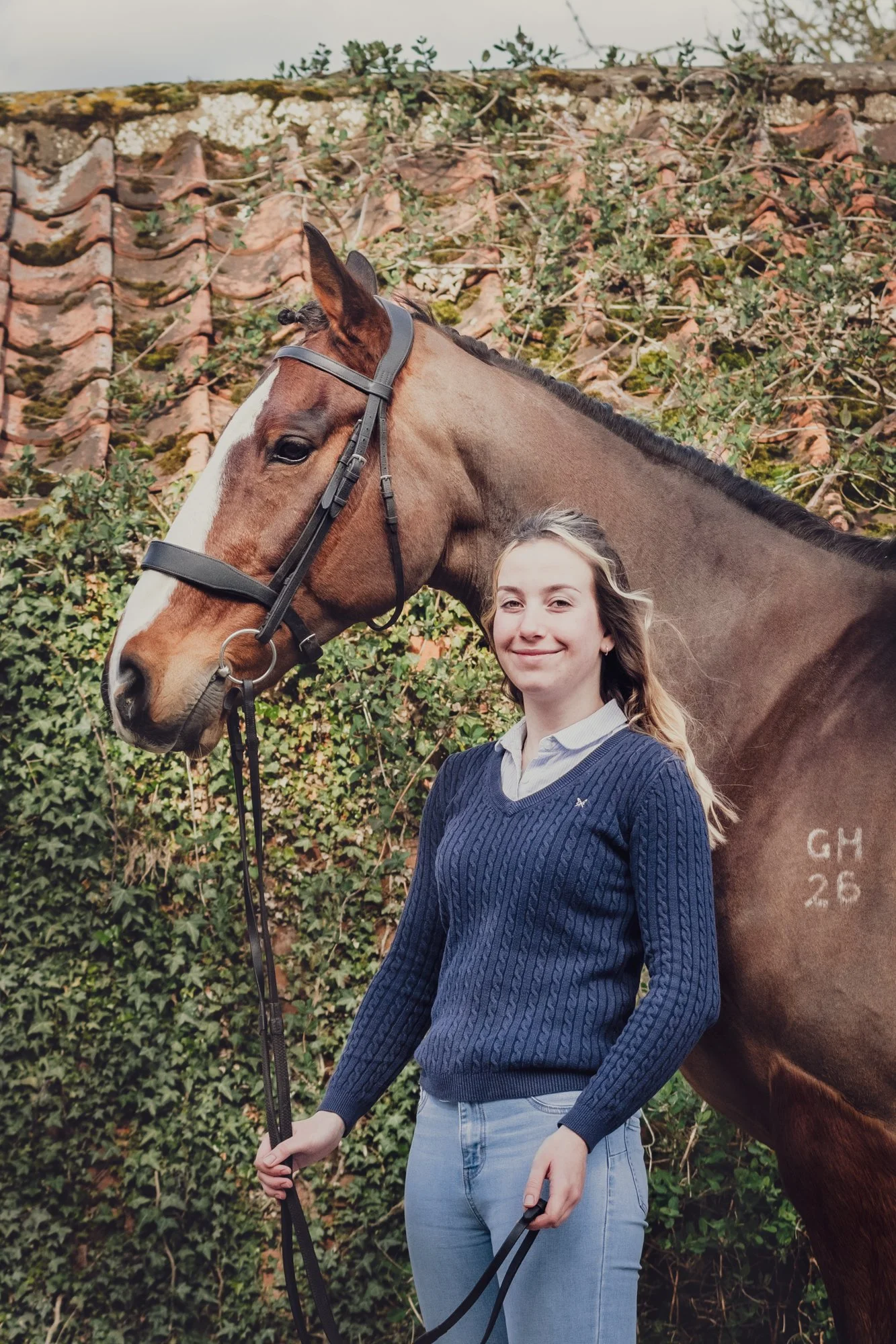 Bay Irish Sports Horse with owner in country casual clothing