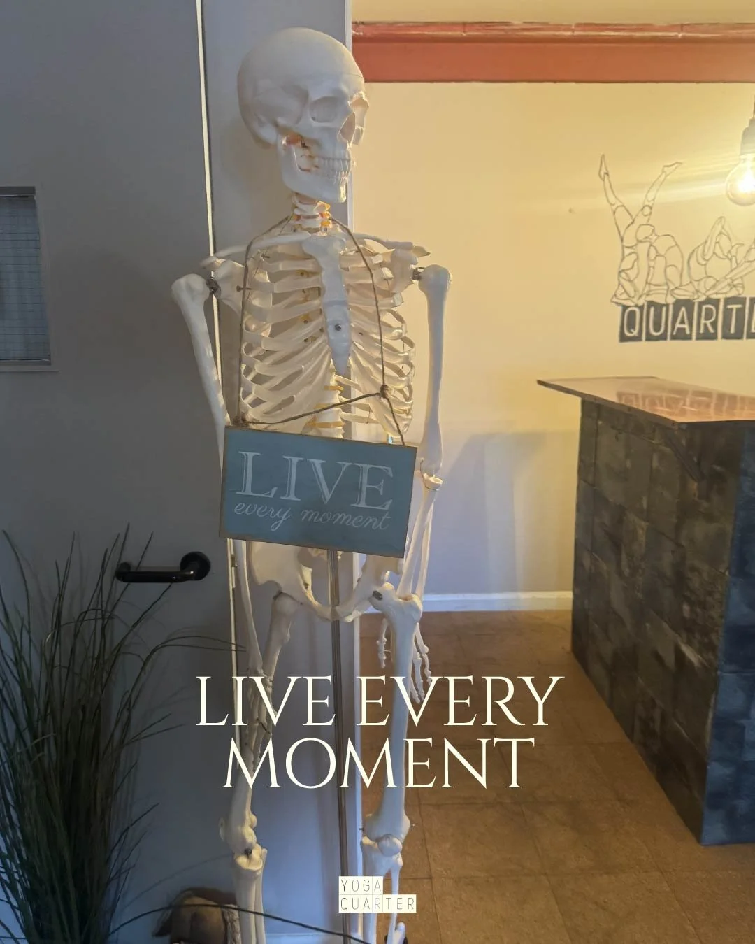 Live Every Moment

You may have noticed this guy in the Studio. Why? To remind us to live every moment. It doesn't matter what age or ability level you are at, Yoga is simply movement and movement is for everyone. 

You will only regret the things yo