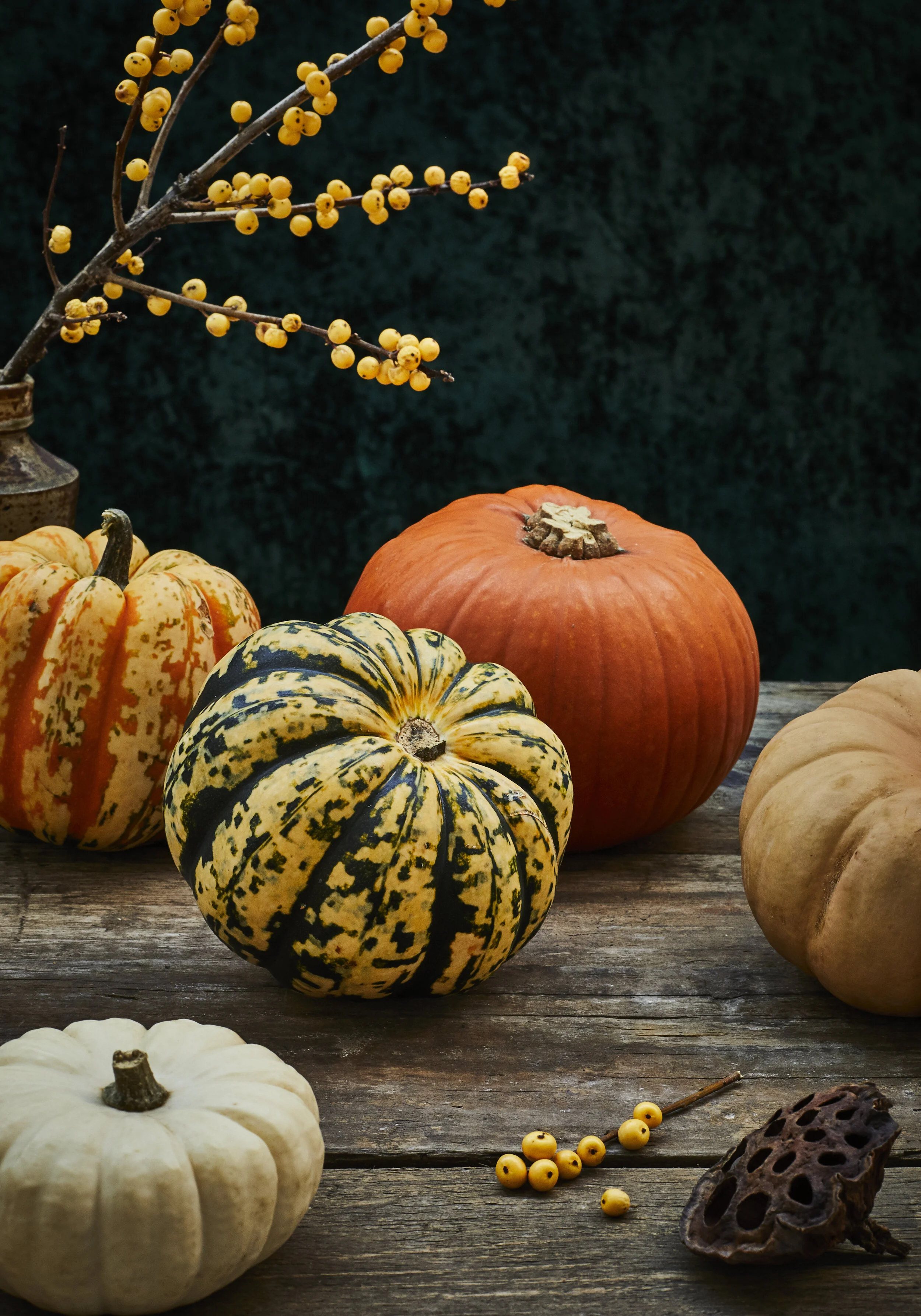 Pumpkins 1.jpg