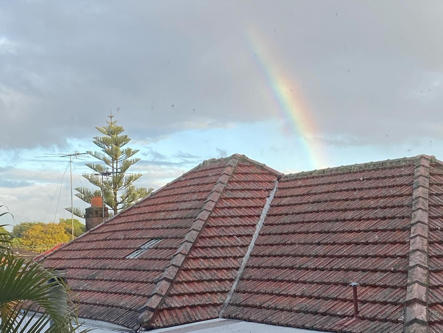 July 🌅🌈

1 Extraordinary, ordinary days
2 Dear friends @ktm97 
3 The Rocks
4, 5, 6 Peregian Beach Sunsets
7 Omega Ensemble Concert 👏👏
8 Sydney Sunset
9 @rhysiclittle Piccolo Concerto Premiere