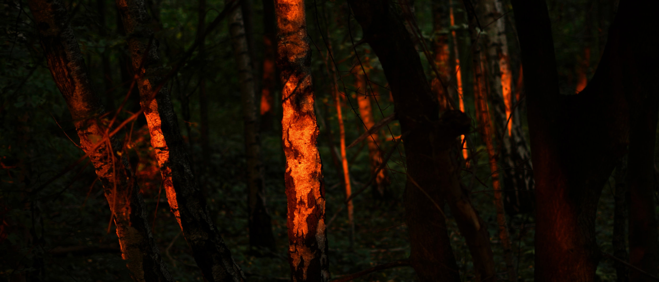 Breaking the Spirit of the Planet: Climate Catastrophe