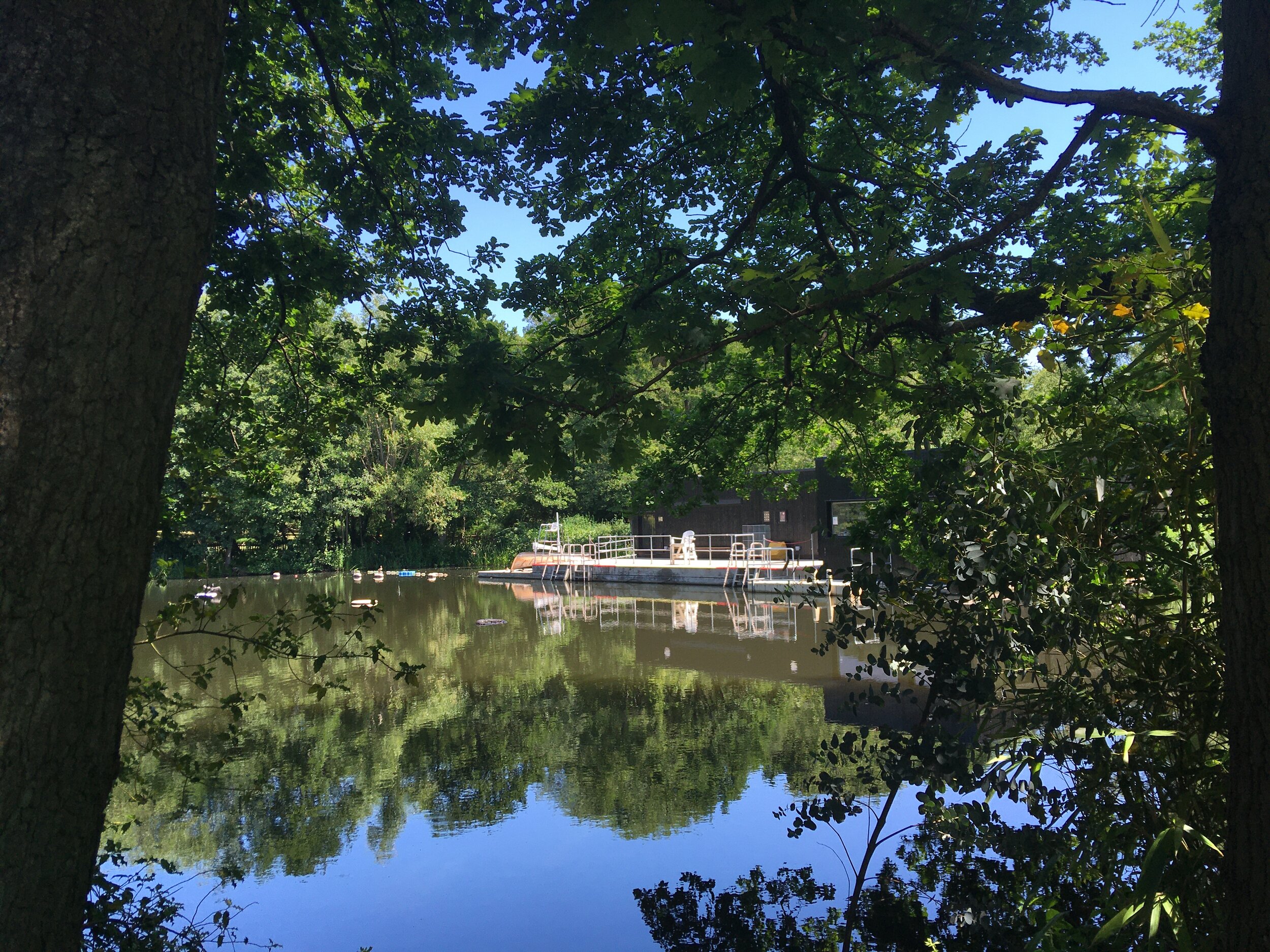 Swimming is a Feminist Issue