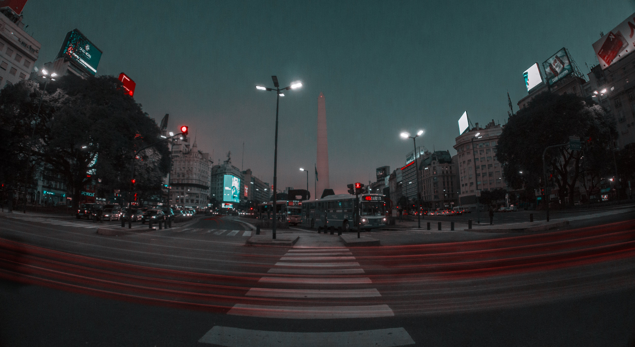 Argentina 2020: Pandemic and Abolitionism 