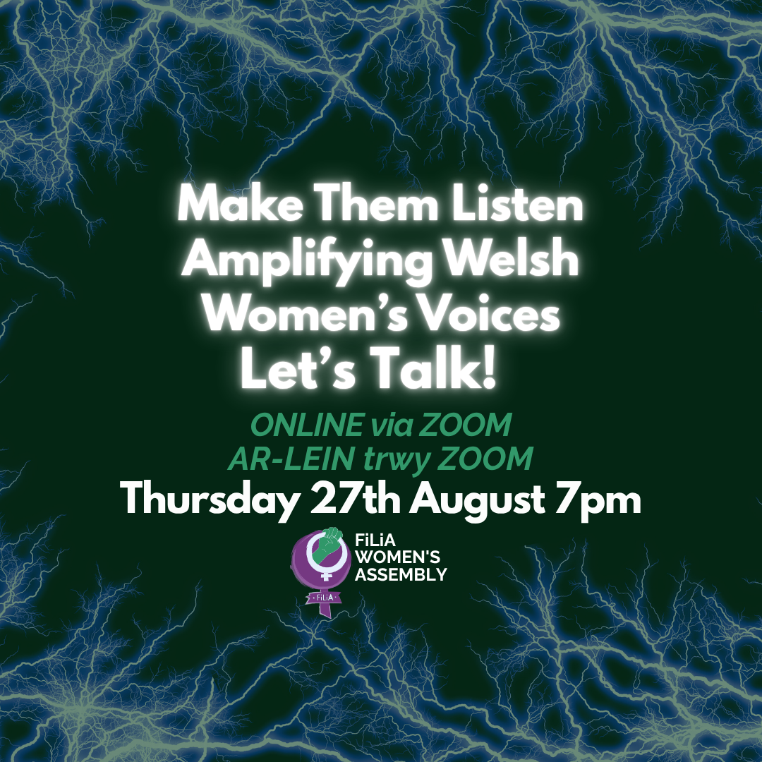 Make Them Listen – Amplifying Welsh Women’s Voices Through the Public Sector Equality Duty